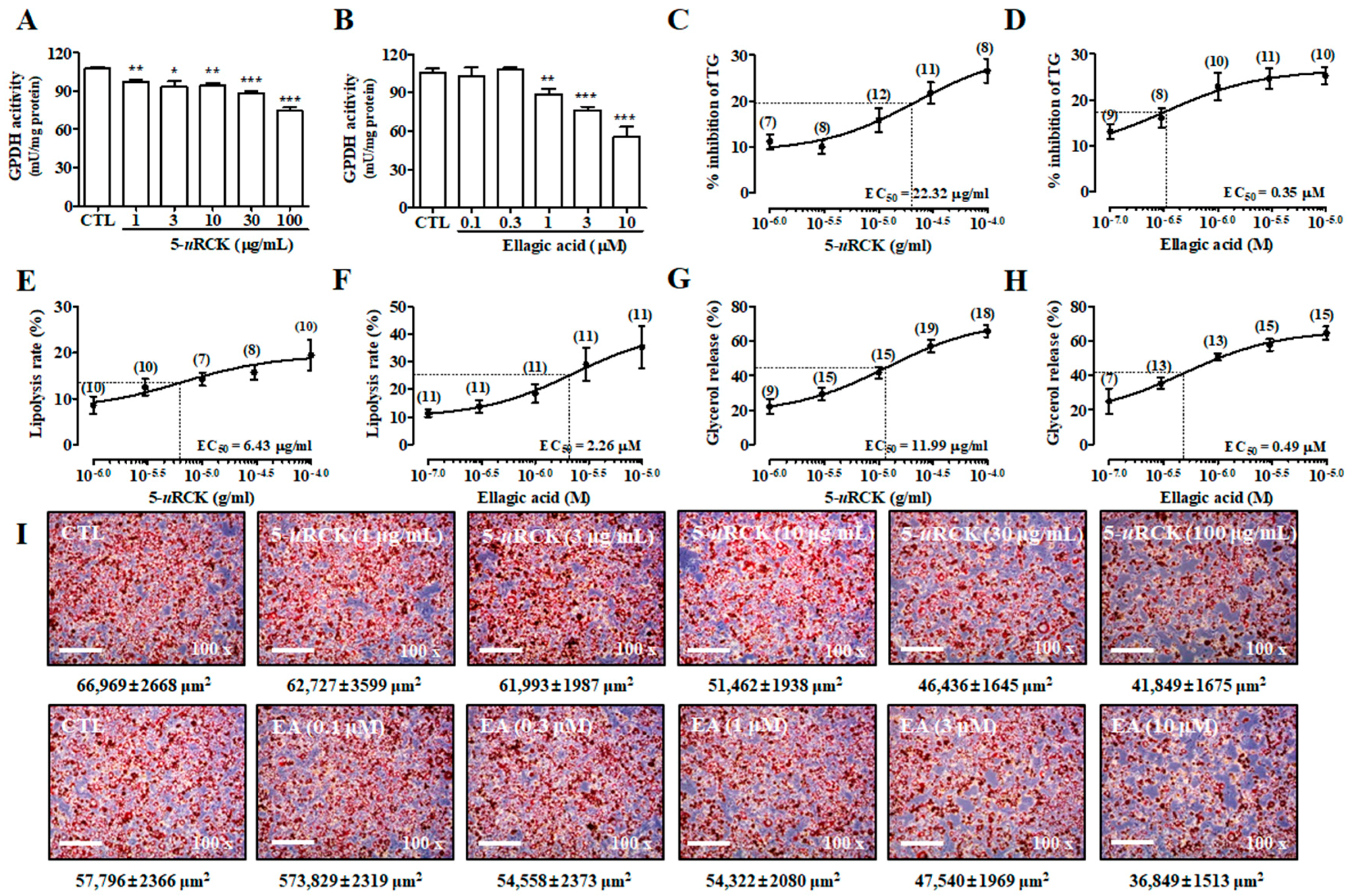 Molecules 25 05954 g002