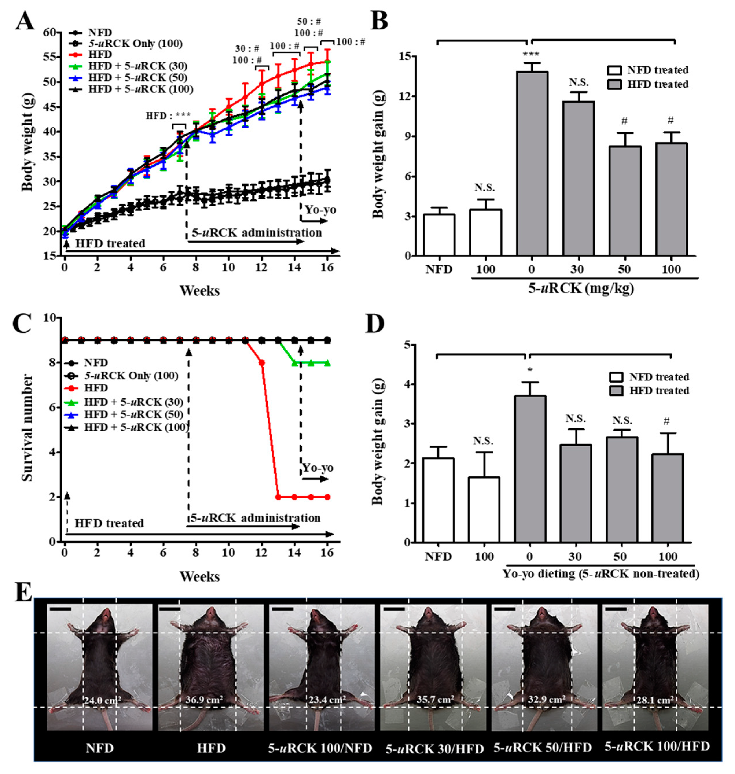 Molecules 25 05954 g003