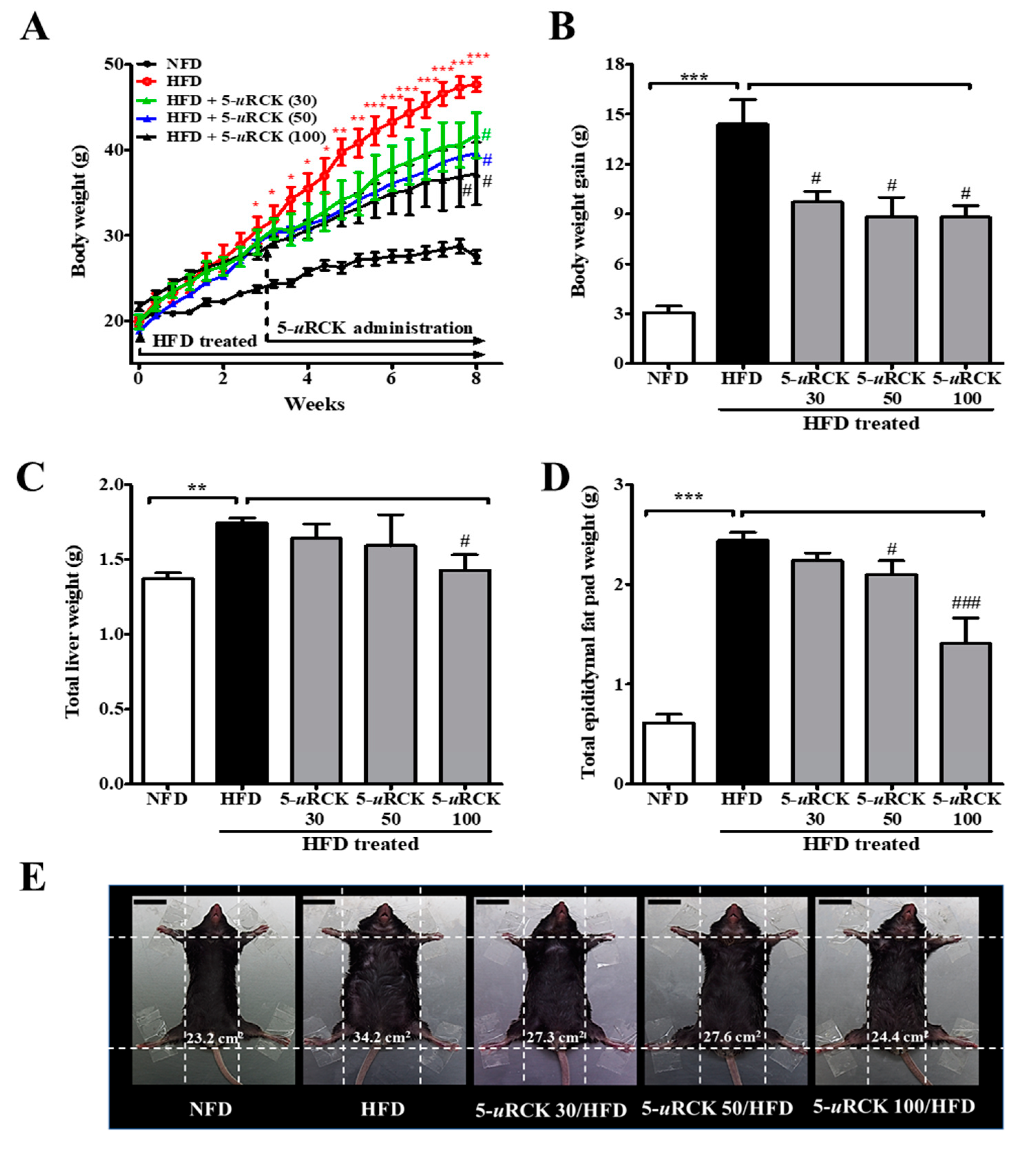 Molecules 25 05954 g004