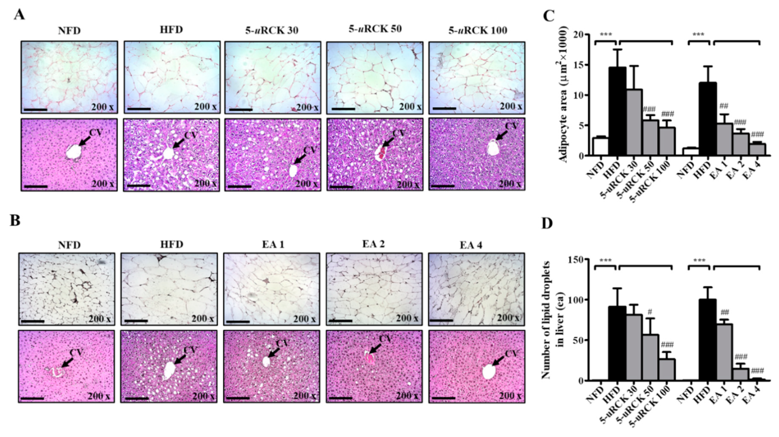 Molecules 25 05954 g006