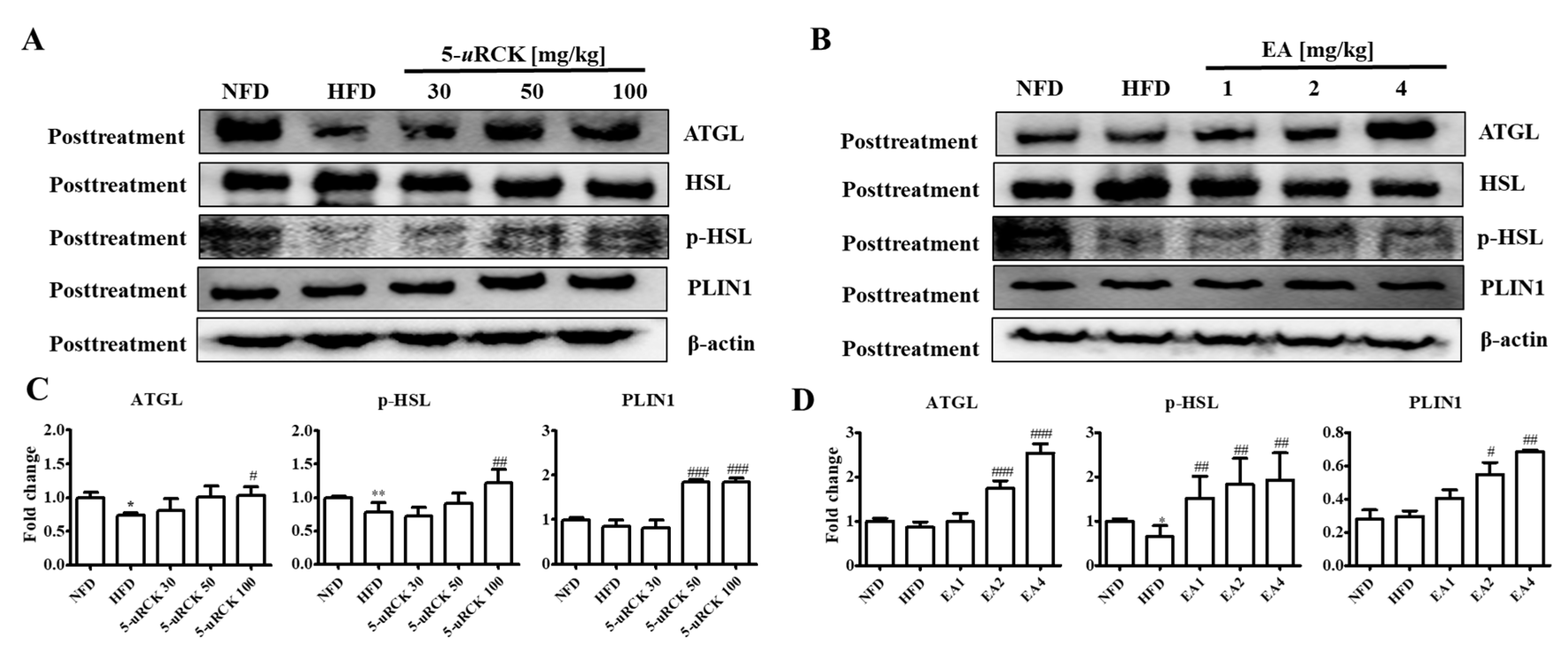 Molecules 25 05954 g007