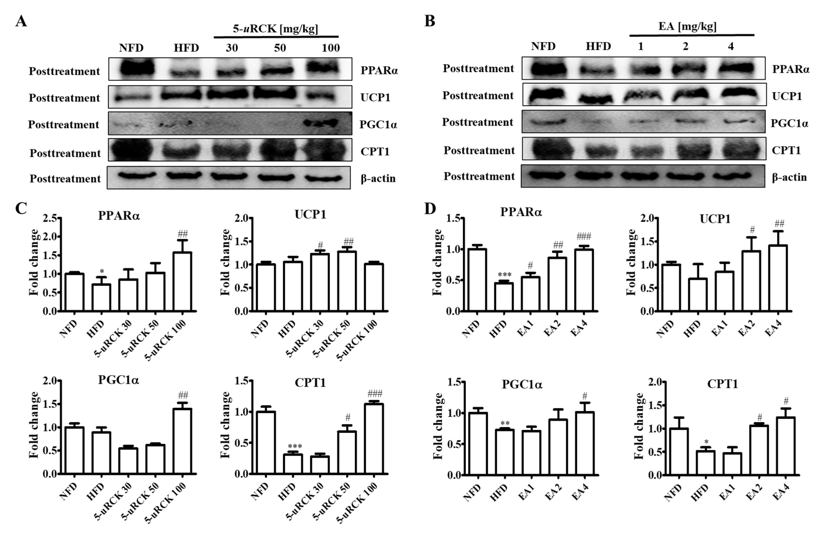 Molecules 25 05954 g008