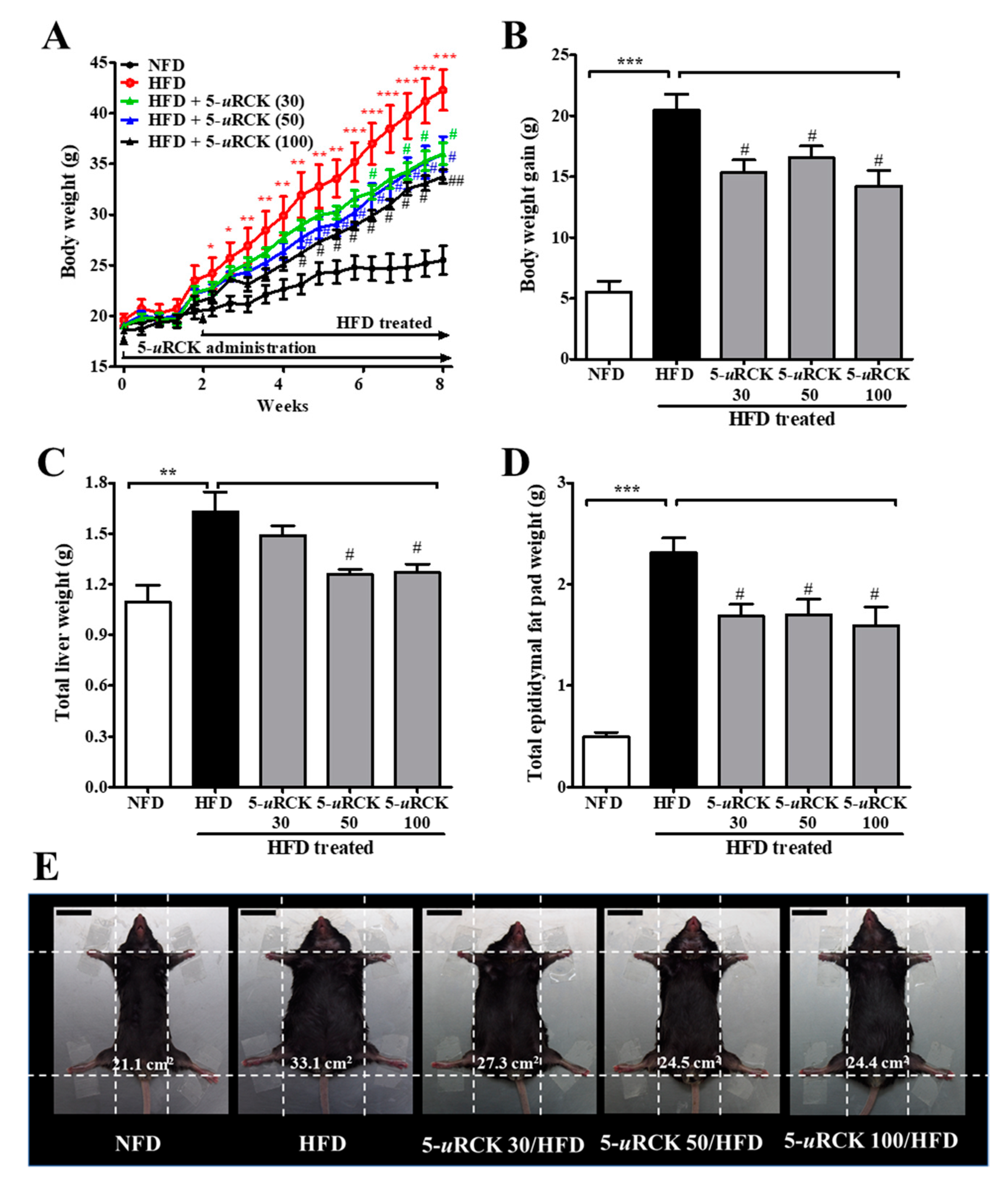 Molecules 25 05954 g009