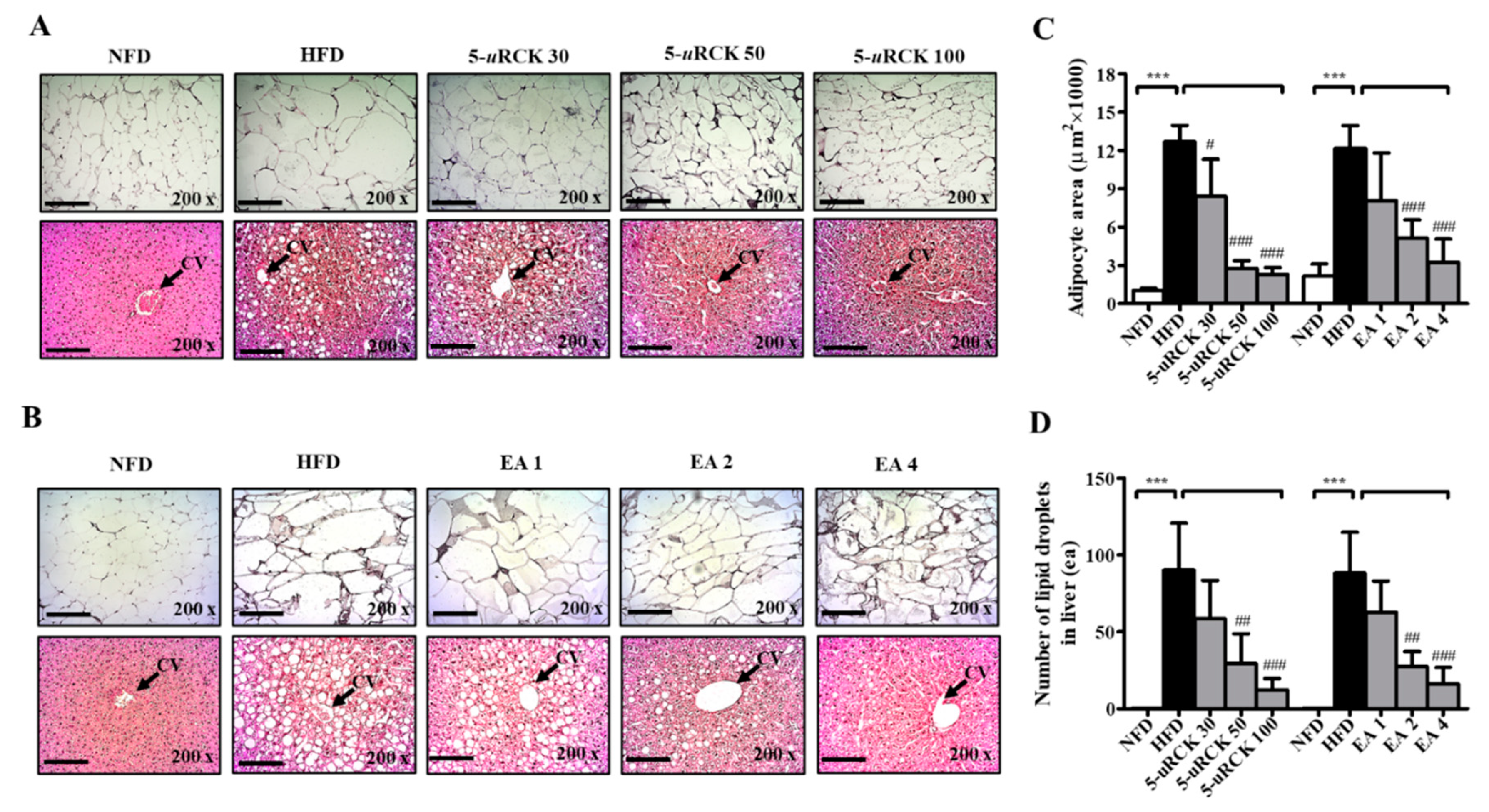 Molecules 25 05954 g011
