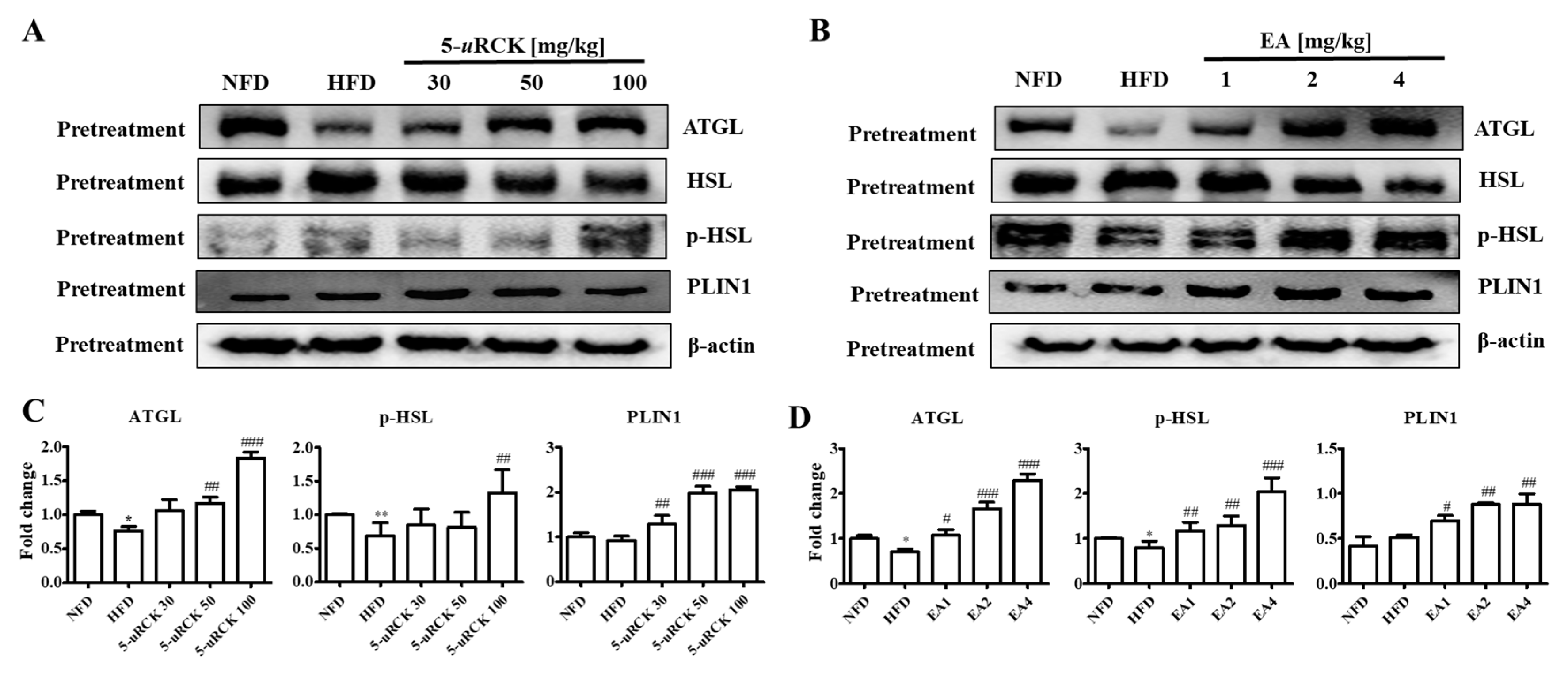 Molecules 25 05954 g012