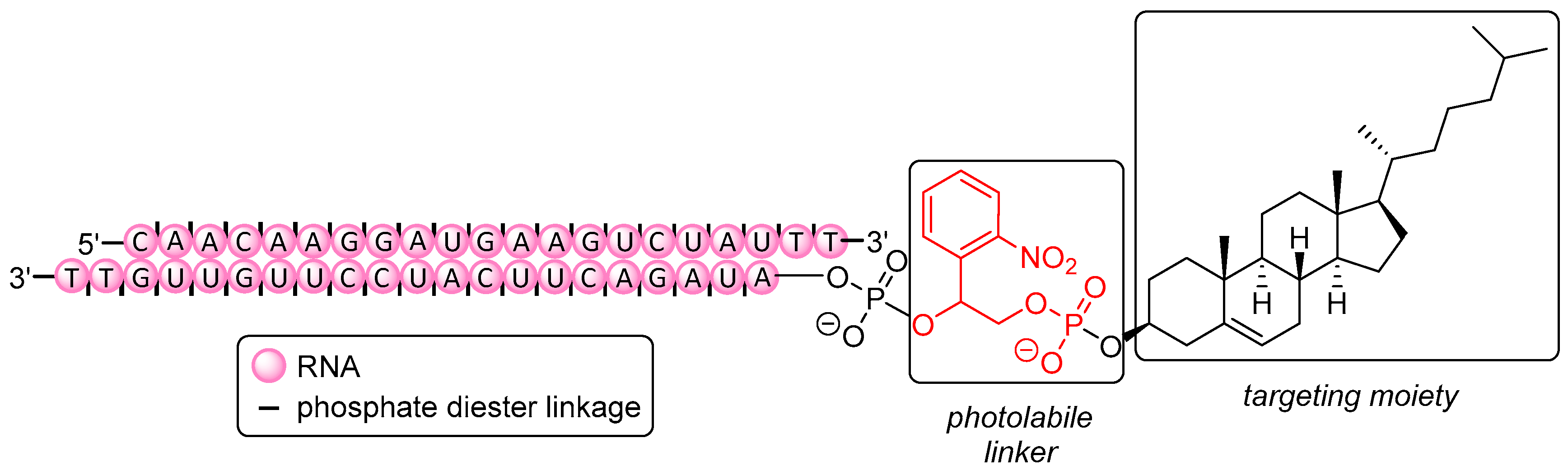 Molecules 25 05963 g007 Molecules 25 05963 g007