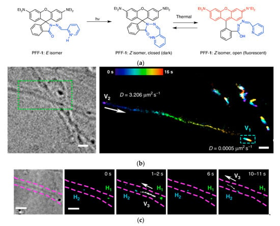 Molecules Free Full Text Recent Progress In Small Spirocyclic Xanthene Based Fluorescent Probes Html