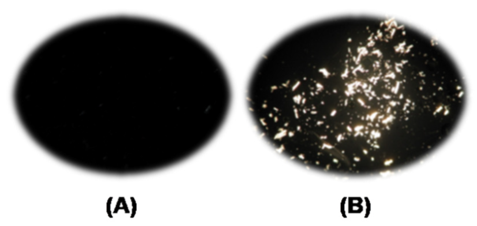 Molecules 25 05975 g004