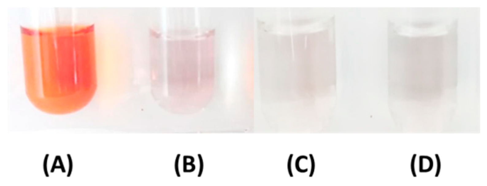 Molecules 25 05985 g002 Molecules 25 05985 g002