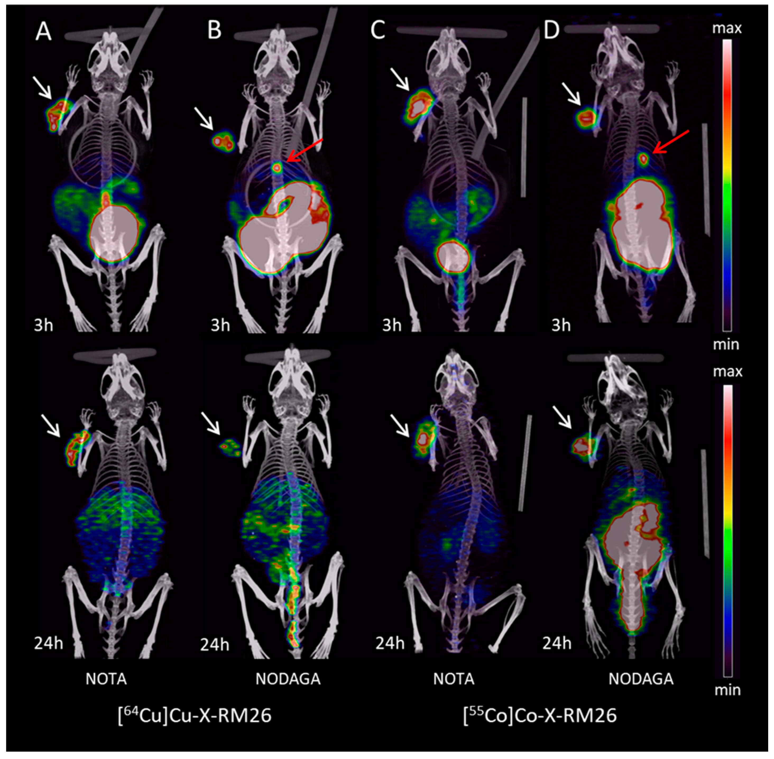 Molecules 25 05993 g006 Molecules 25 05993 g006