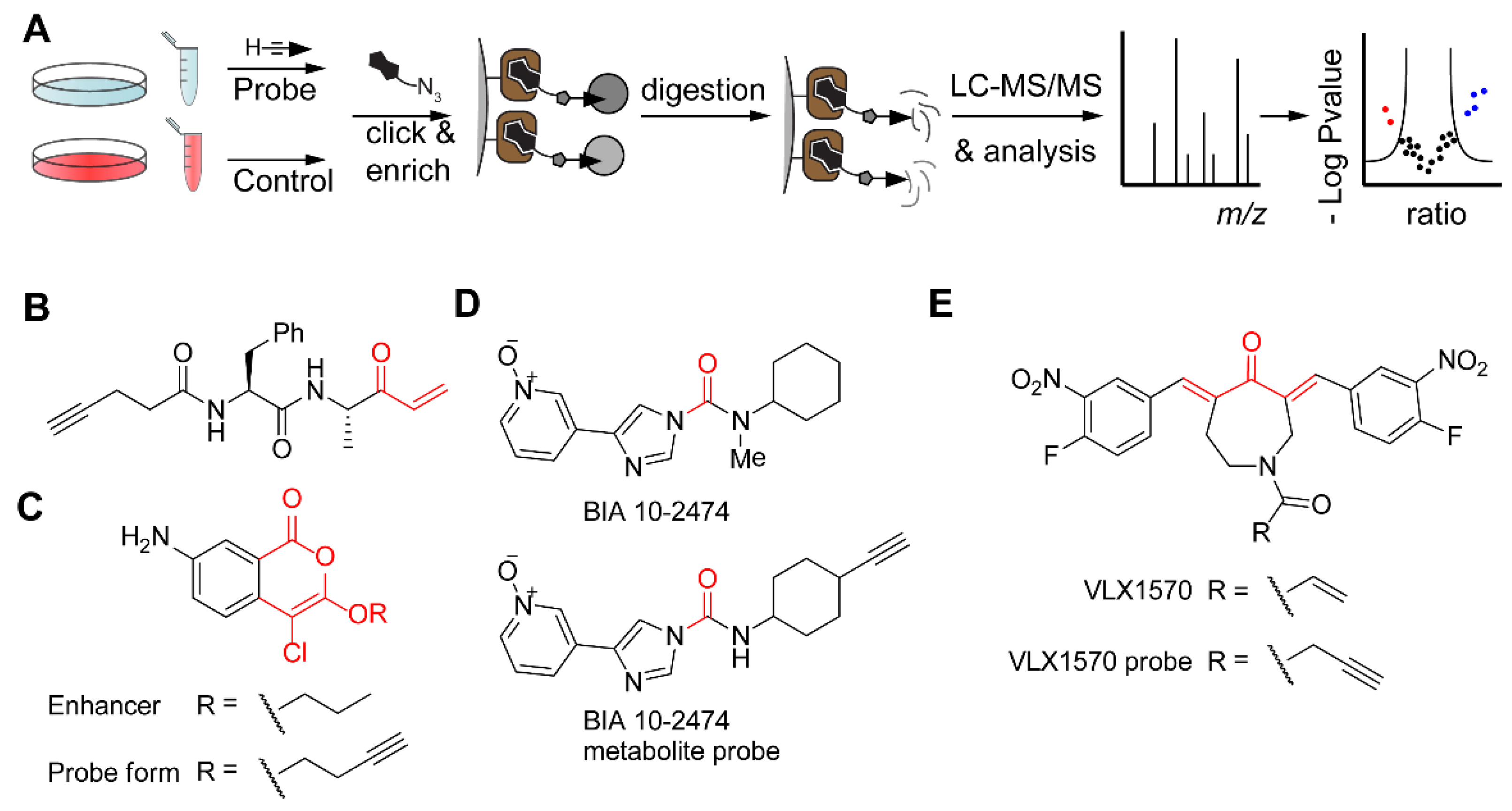 Molecules 25 05994 g007 Molecules 25 05994 g007