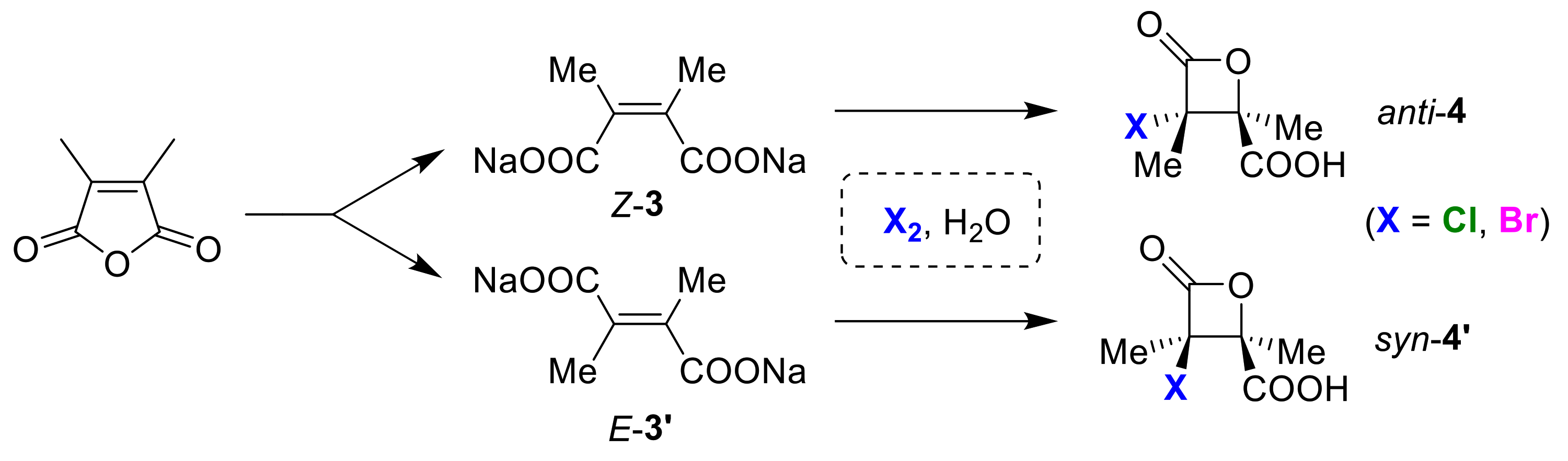 Molecules 25 06007 g003 Molecules 25 06007 g003