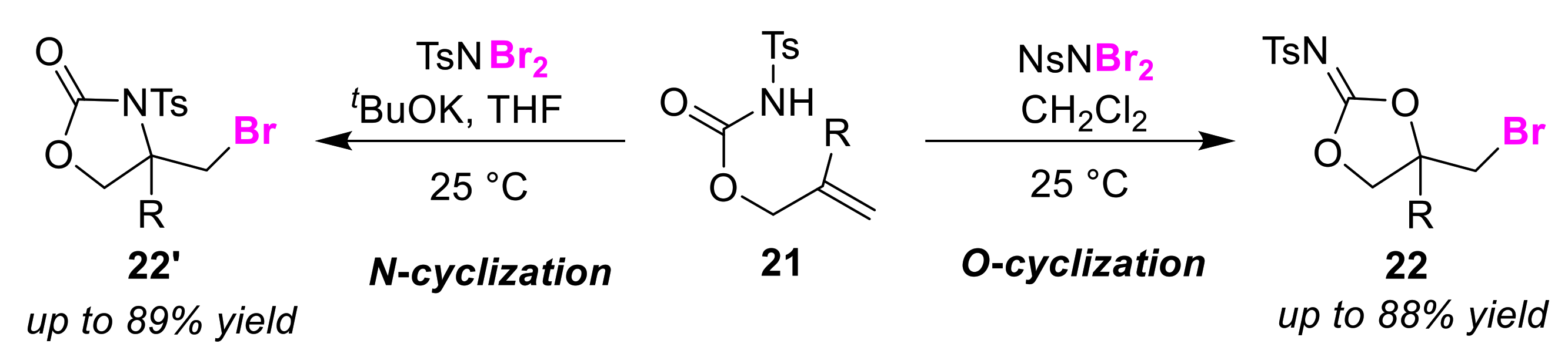 Molecules 25 06007 g012 Molecules 25 06007 g012