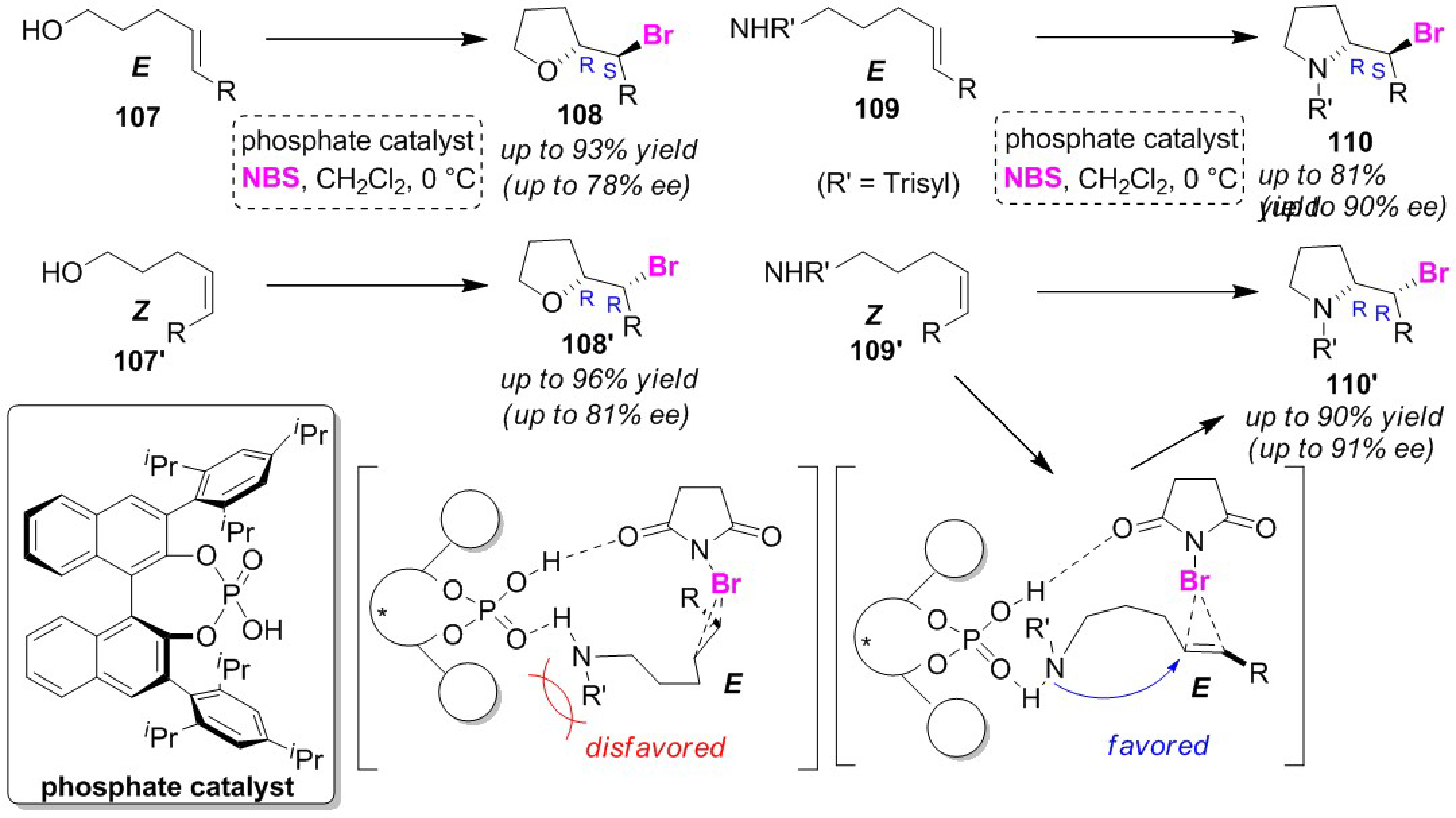 Molecules 25 06007 g051 Molecules 25 06007 g051