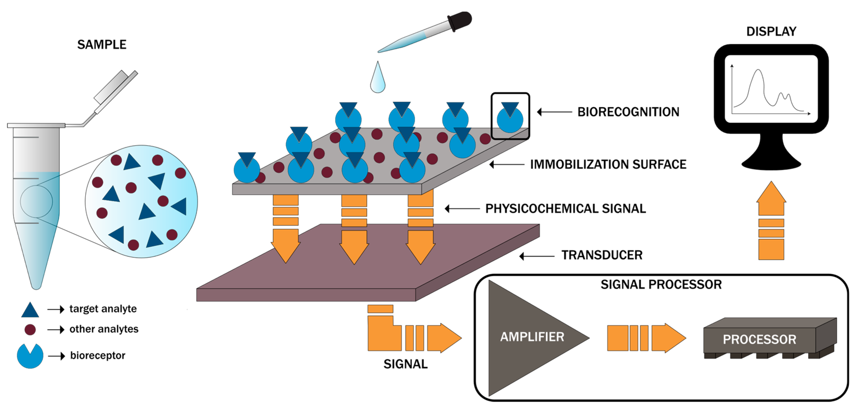 Biosensors Integration in Blood–Brain Barrier-on-a-Chip: Emerging Platform  for Monitoring Neurodegenerative Diseases