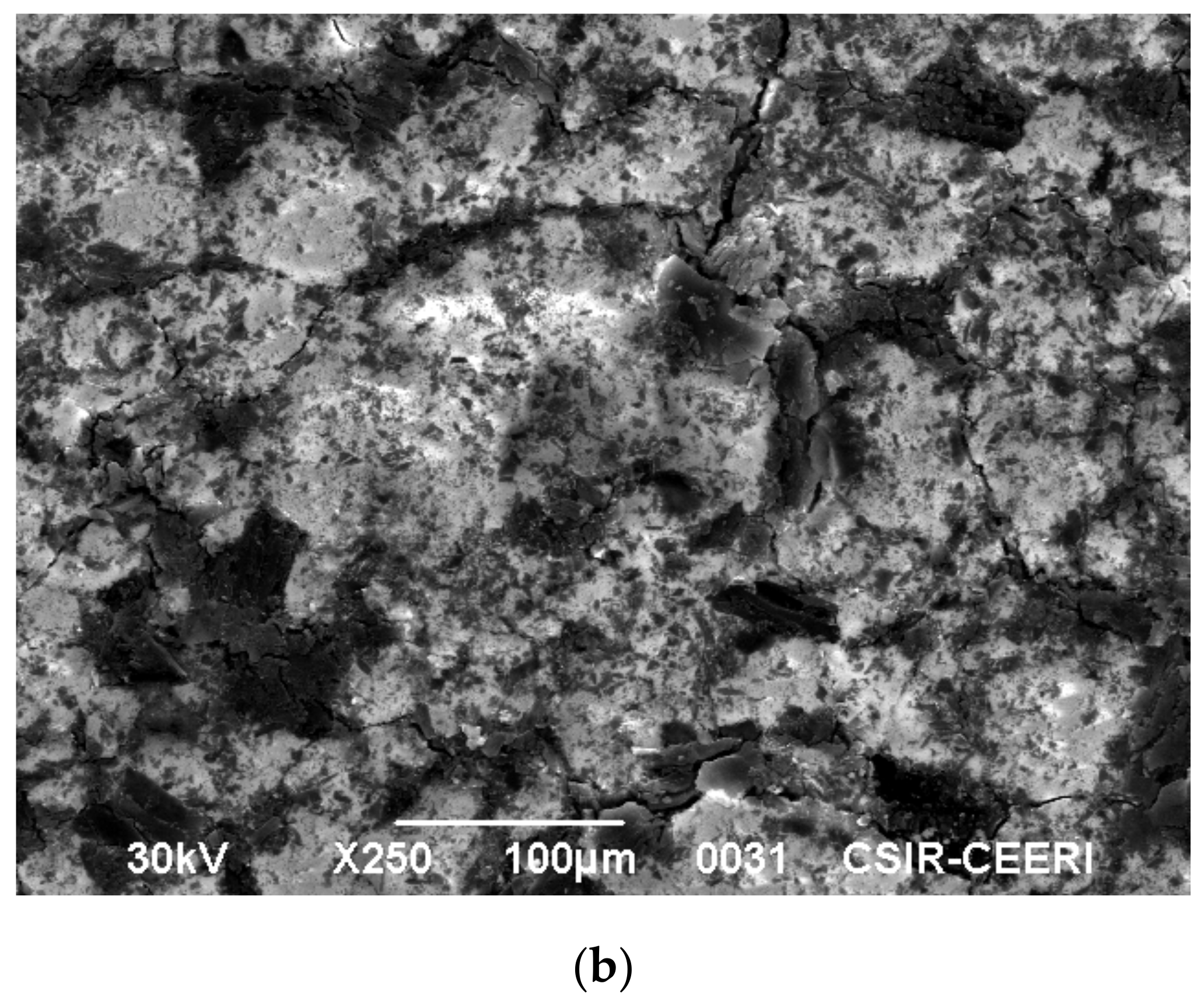 Molecules 25 06014 g011b