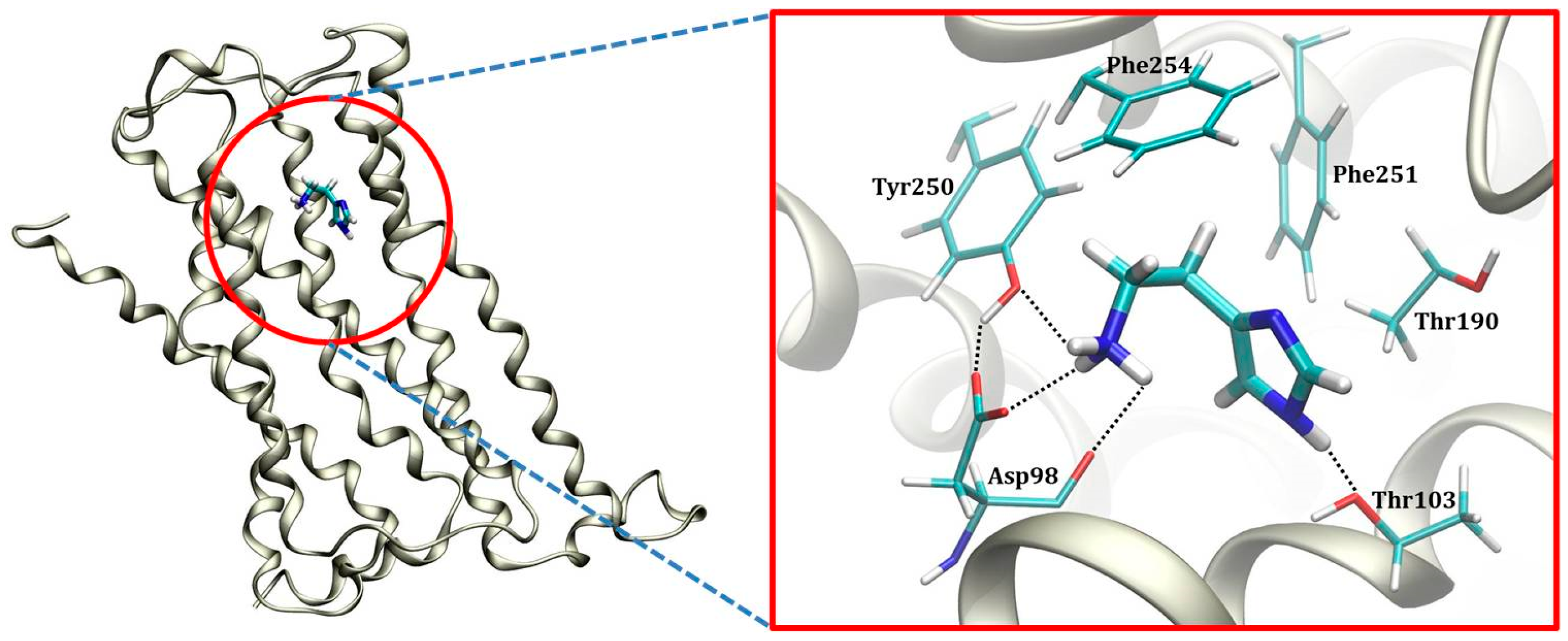 Molecules | Free Full-Text | The Effect of Deuteration on the H2 Receptor  Histamine Binding Profile: A Computational Insight into Modified Hydrogen  Bonding Interactions