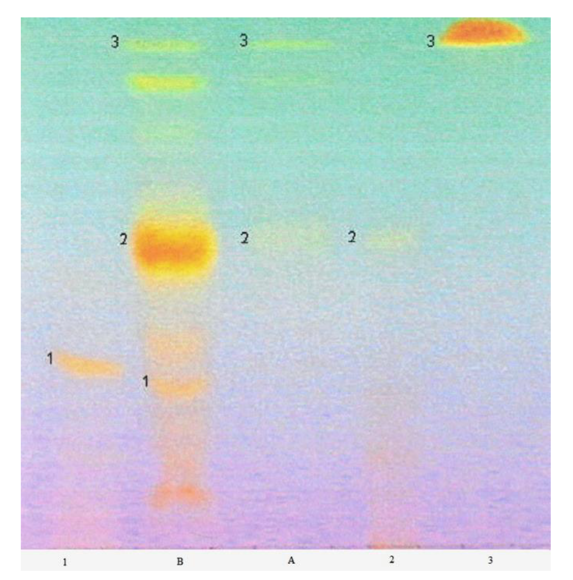Molecules 25 06025 g007 Molecules 25 06025 g007