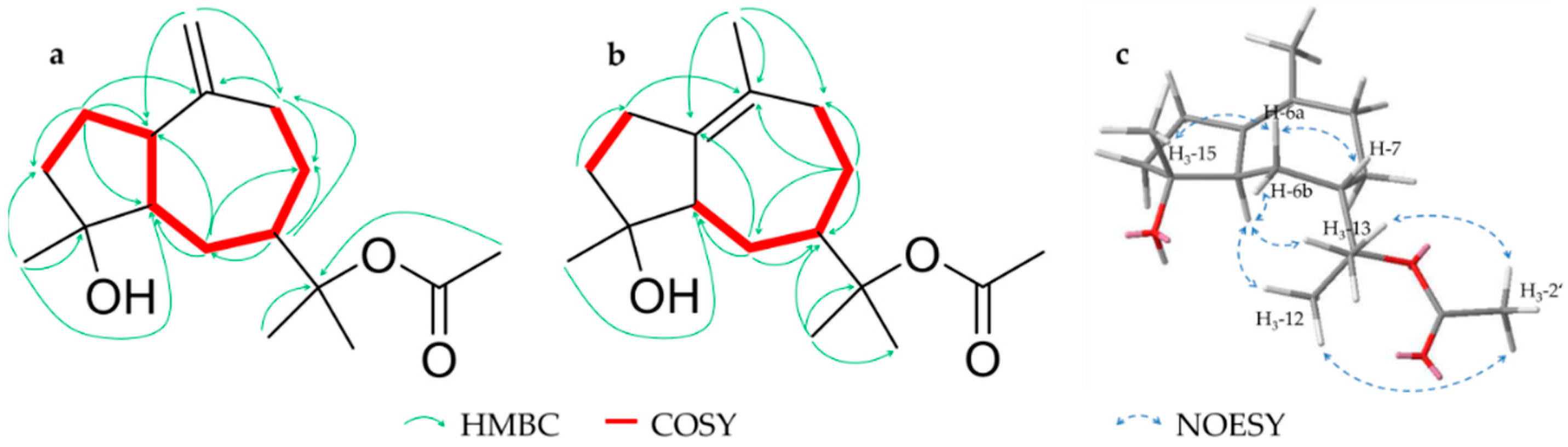 Molecules 26 00042 g004 Molecules 26 00042 g004