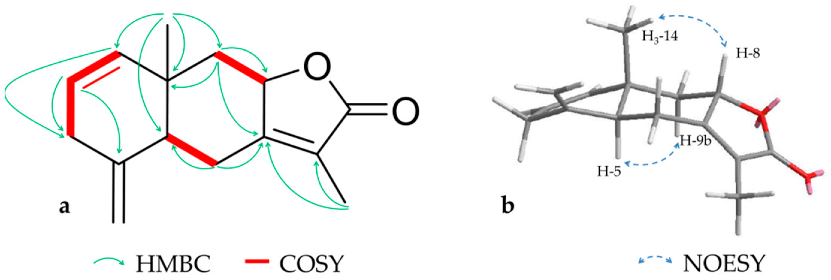 Molecules 26 00042 g006 Molecules 26 00042 g006