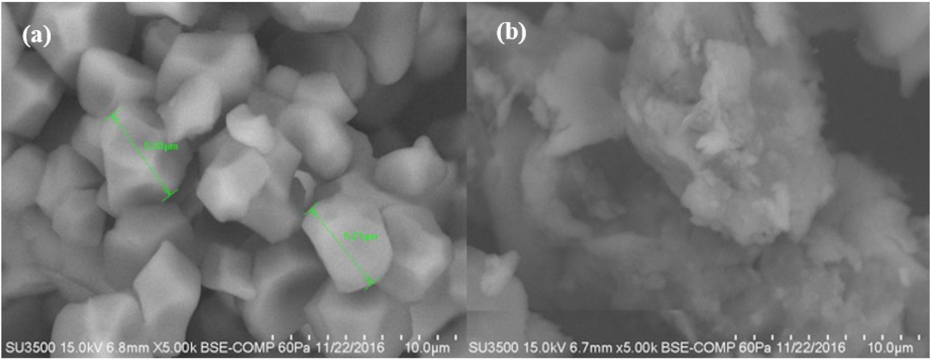 Molecules 26 00054 g004 Molecules 26 00054 g004