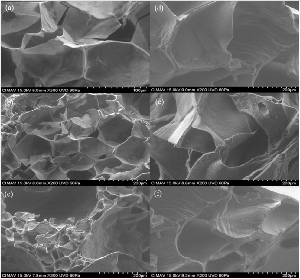 Molecules 26 00054 g013 Molecules 26 00054 g013