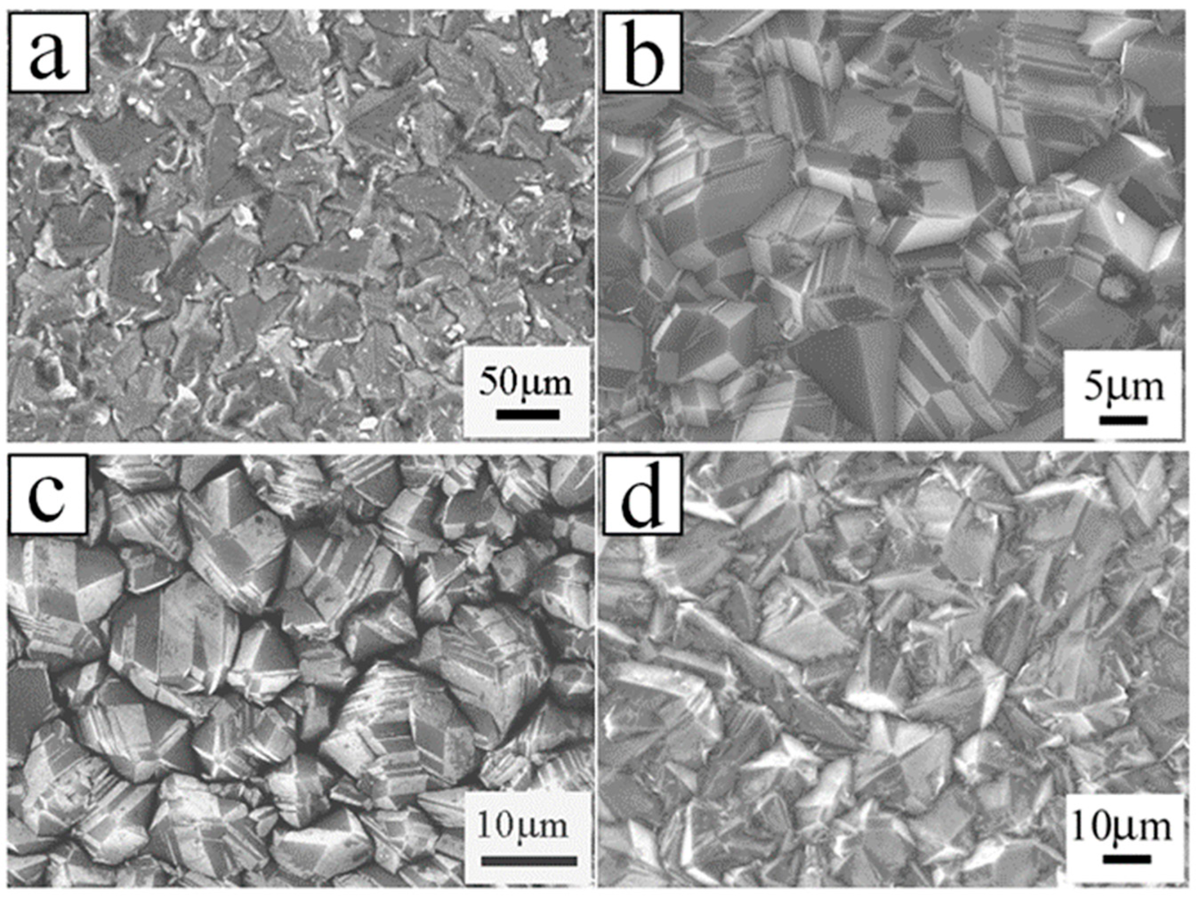 Molecules 26 00071 g003