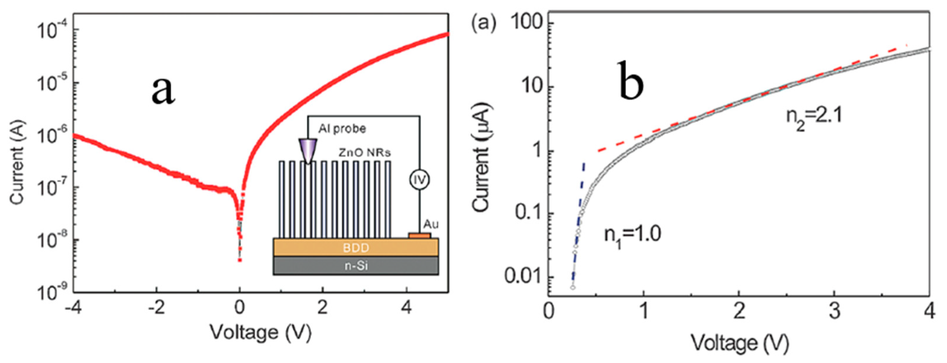 Molecules 26 00071 g011