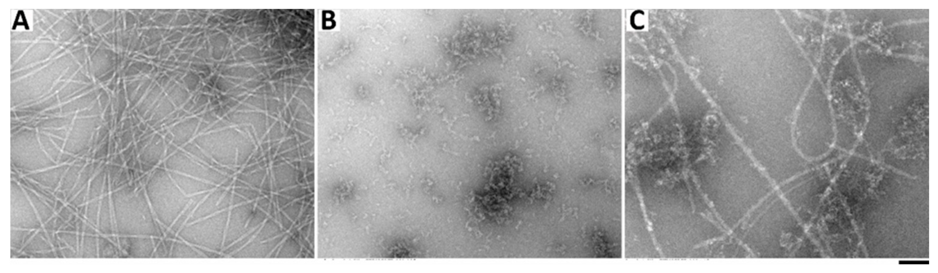 Molecules 26 00077 g008 Molecules 26 00077 g008