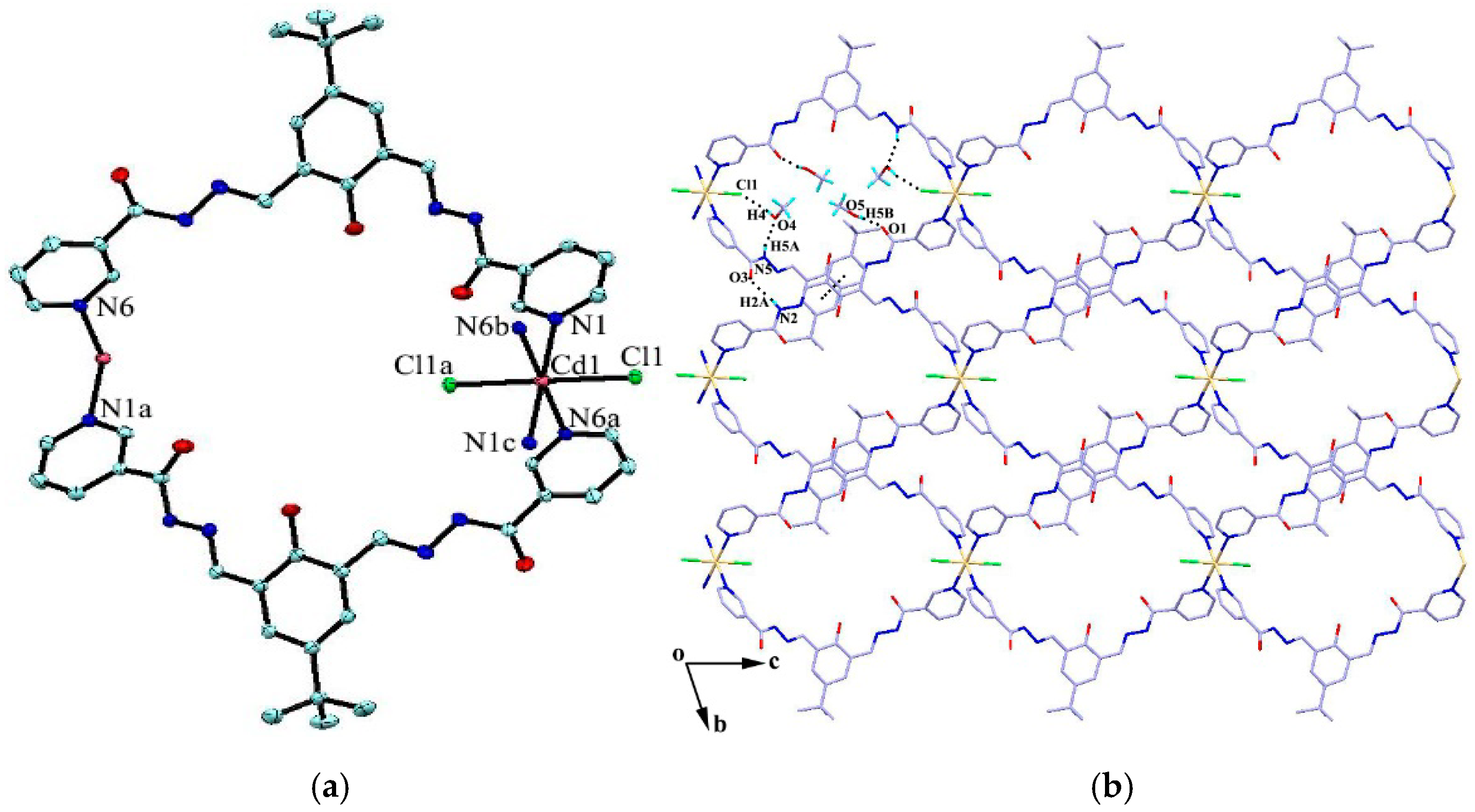 Molecules Free Full Text Self Assembly By Tridentate Or Bidentate Ligand Synthesis And Vapor Adsorption Properties Of Cu Ii Zn Ii Hg Ii And Cd Ii Complexes Derived From A Bis Pyridylhydrazone Compound Html