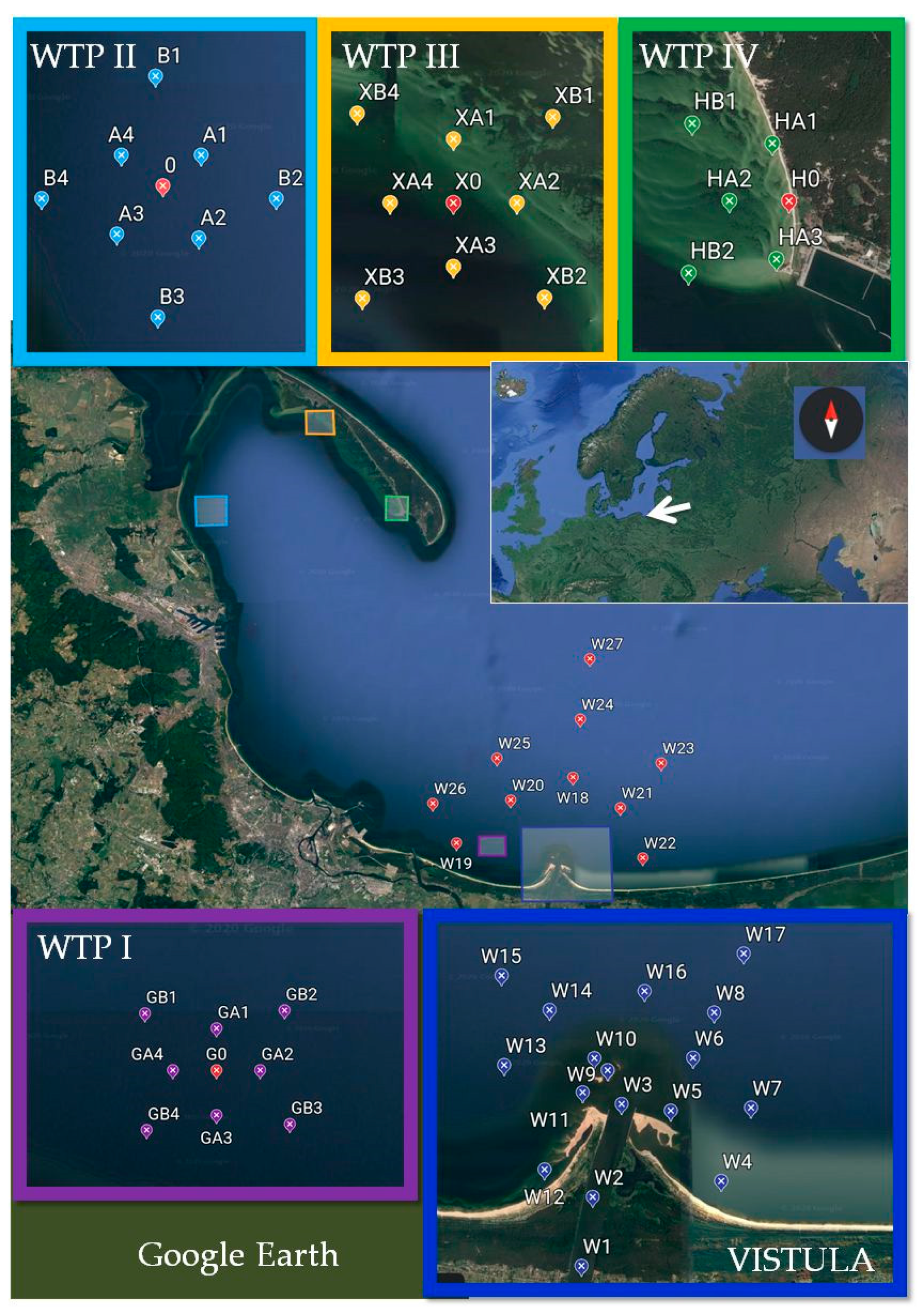 Molecules 26 00116 g006