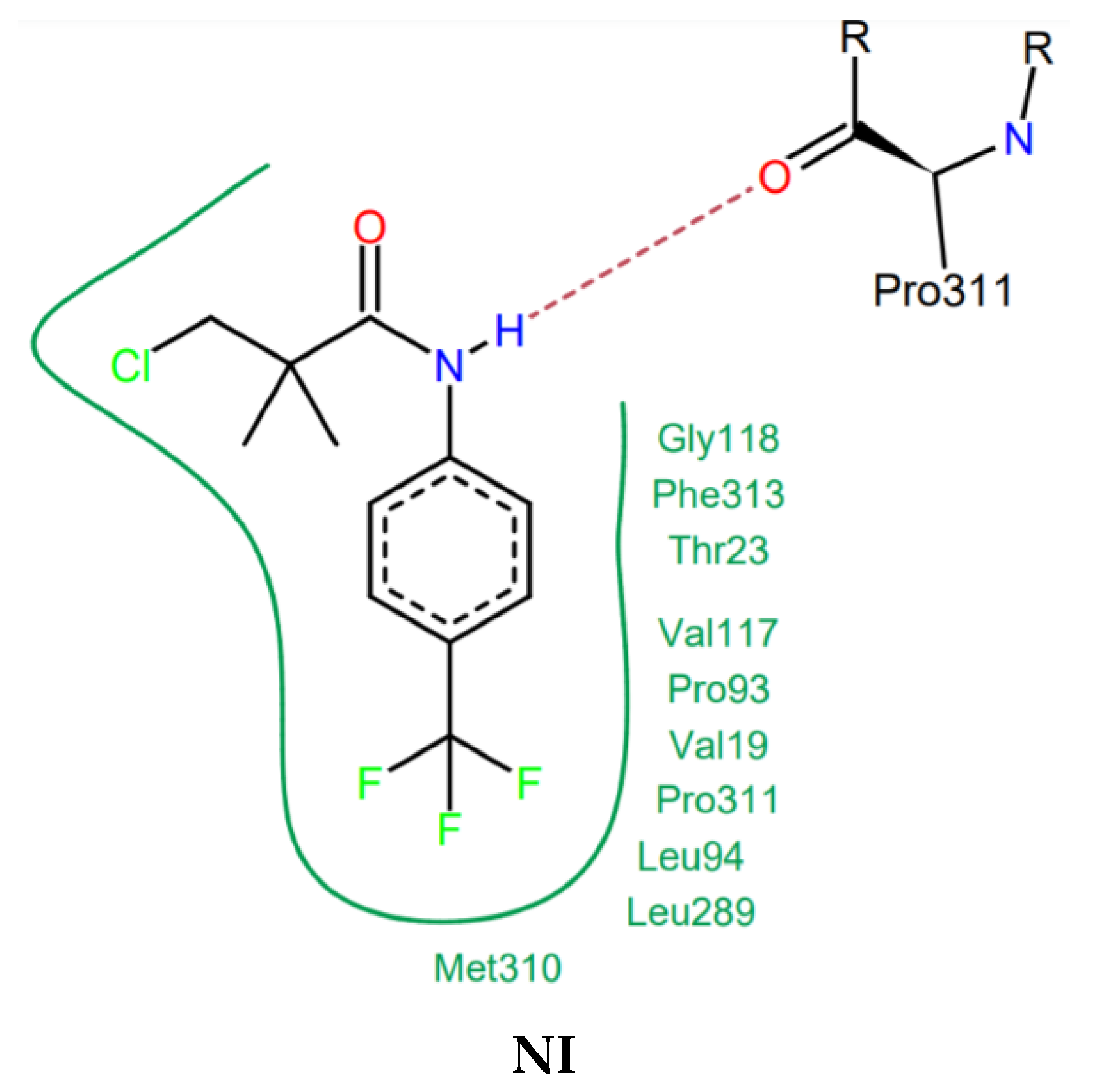 Molecules 26 00170 g005b