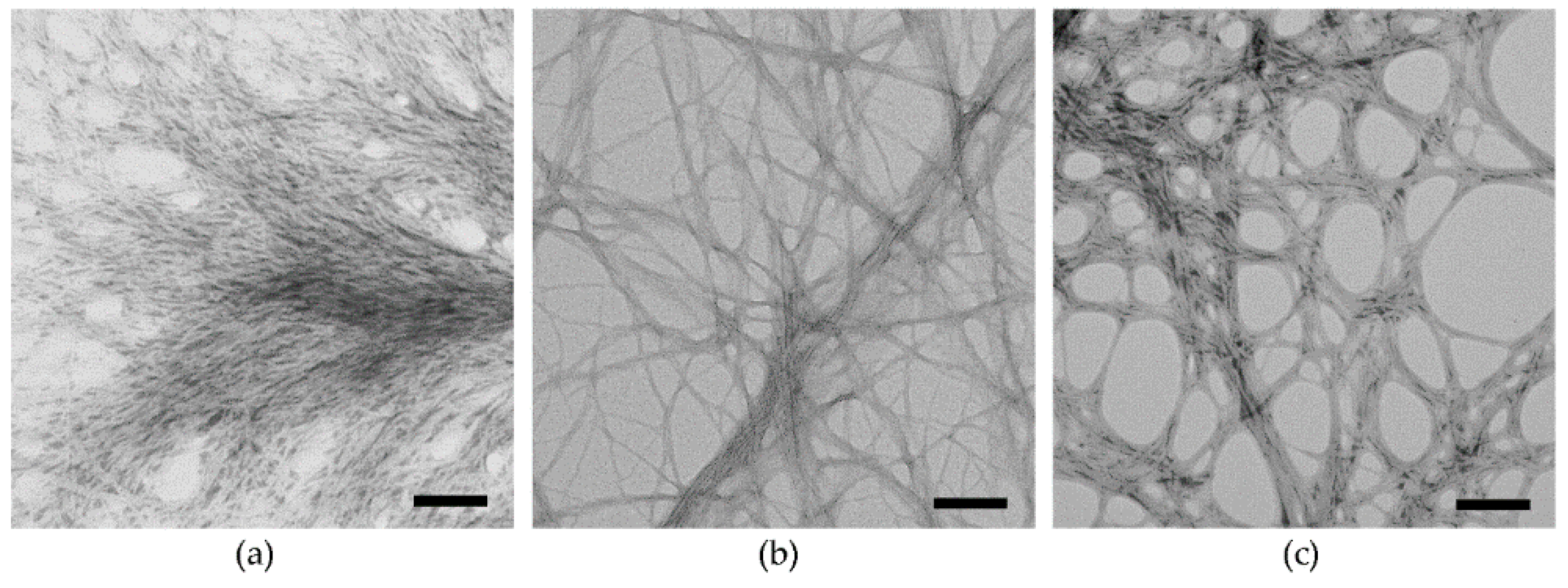Molecules 26 00173 g002