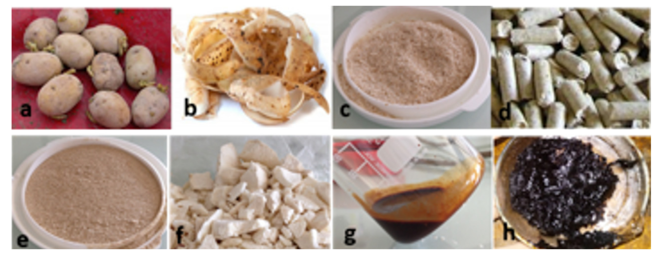 Molecules 26 00177 g006 Molecules 26 00177 g006