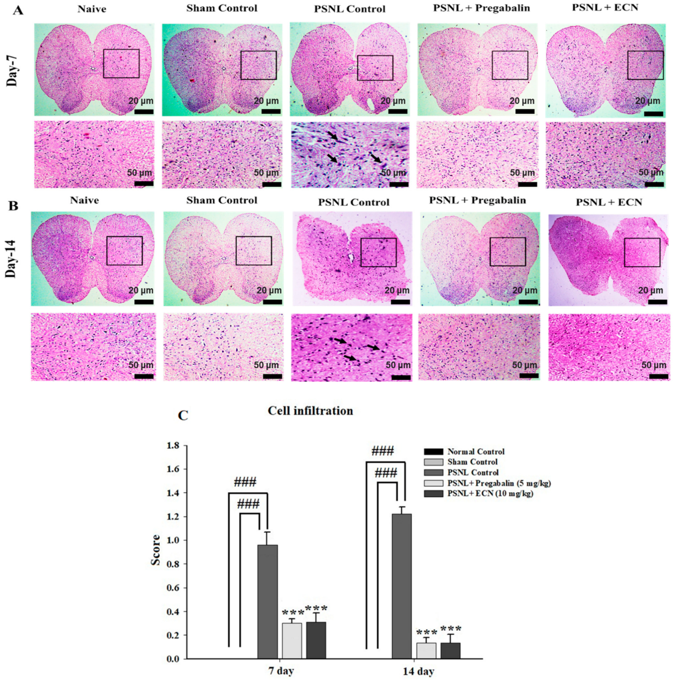 Molecules 26 00181 g006