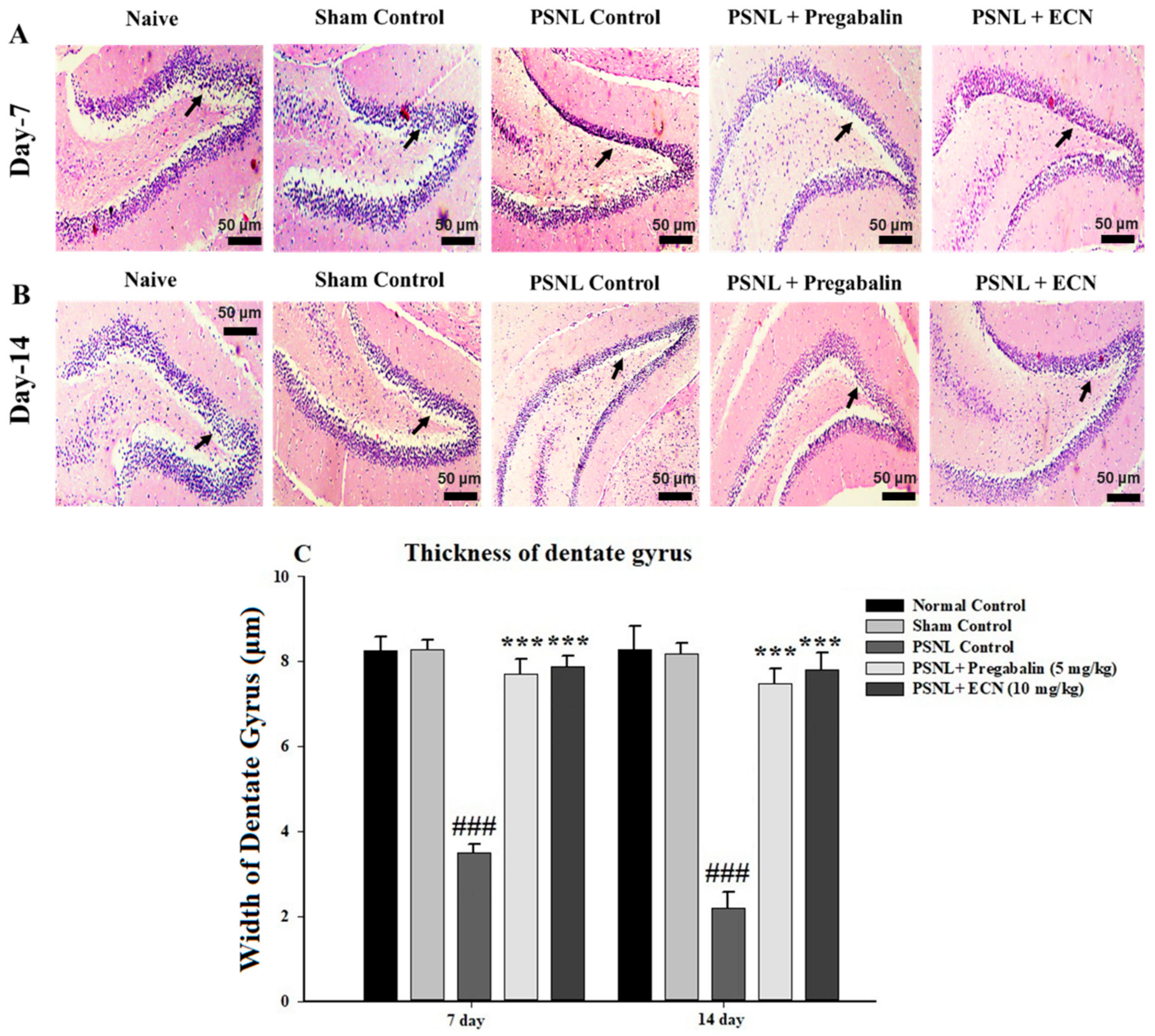 Molecules 26 00181 g007