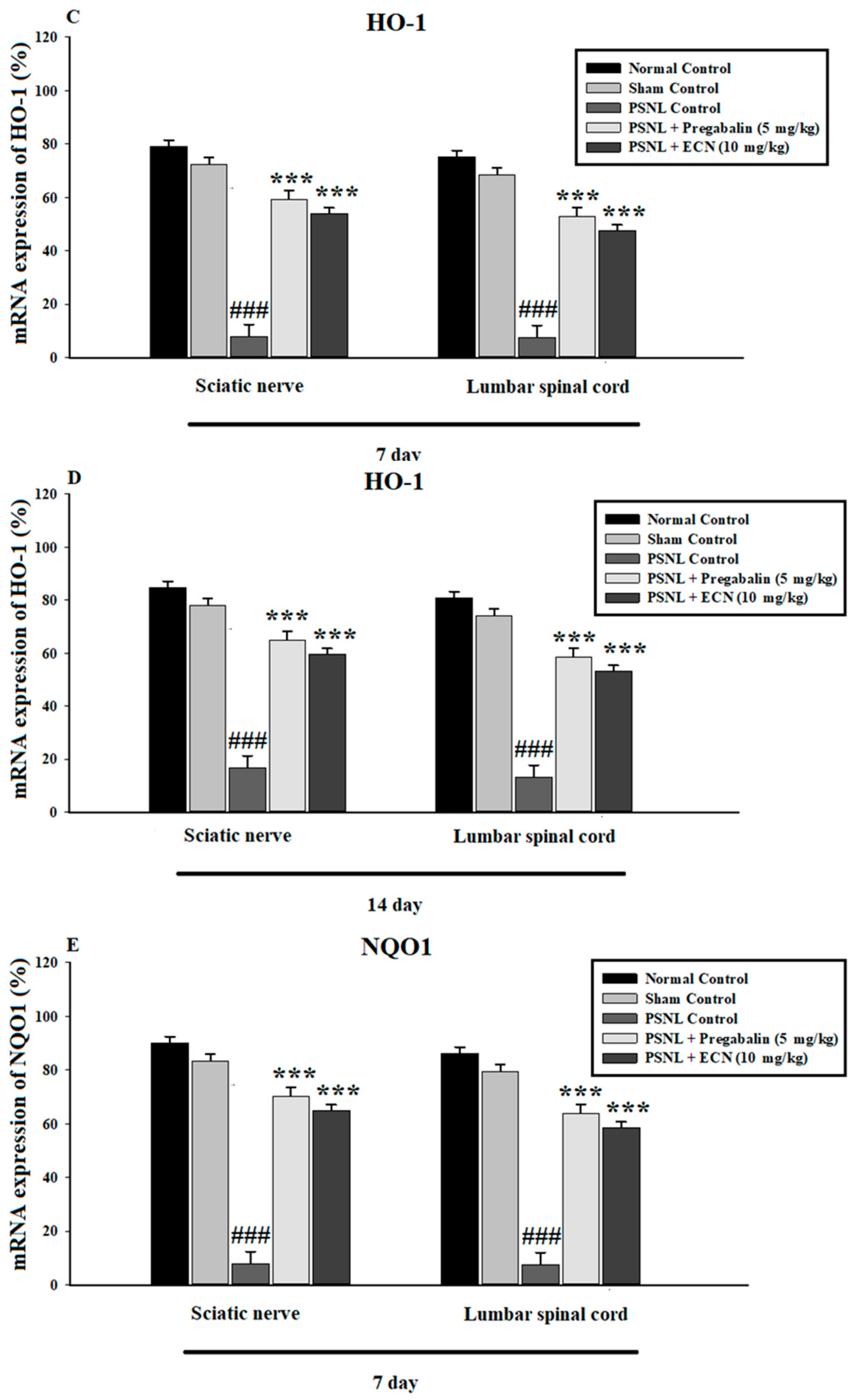 Molecules 26 00181 g009b