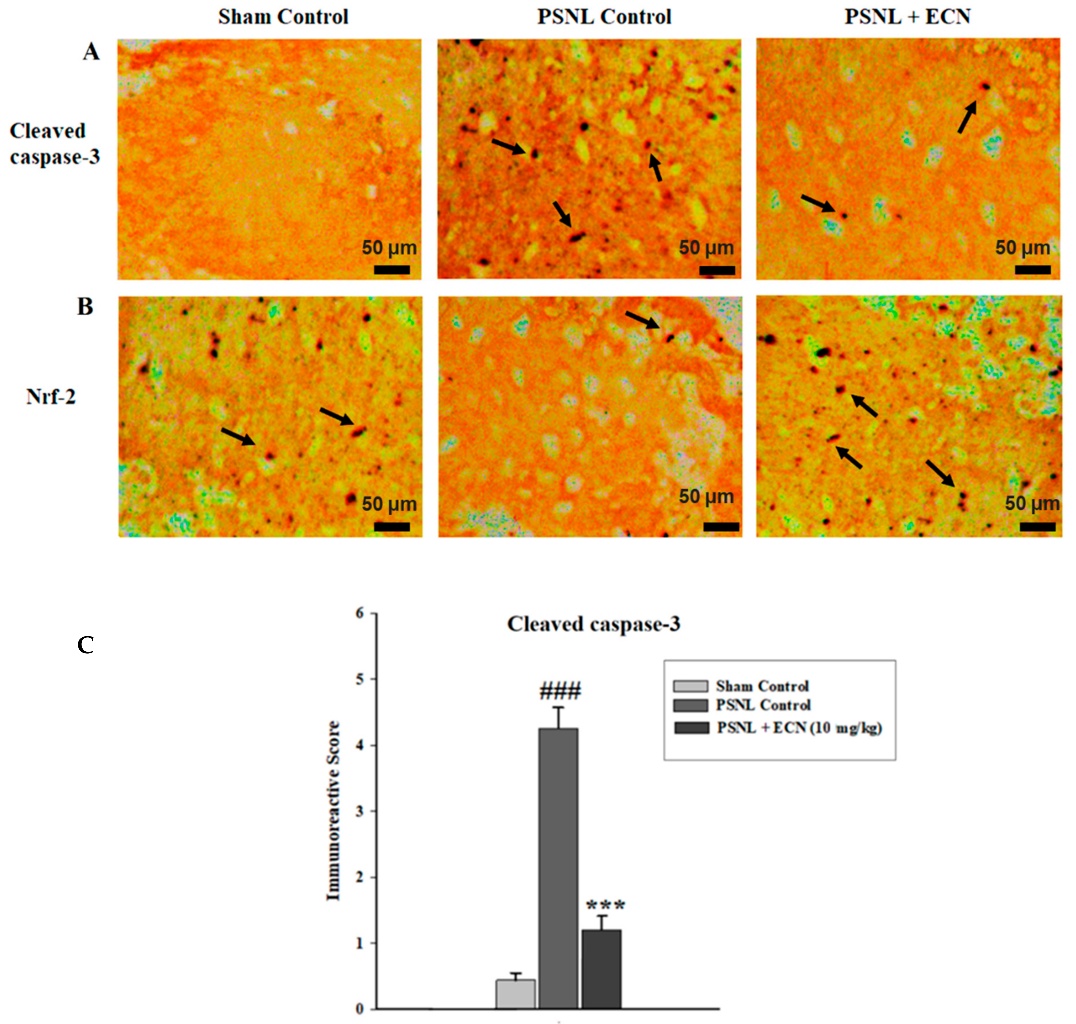 Molecules 26 00181 g010a