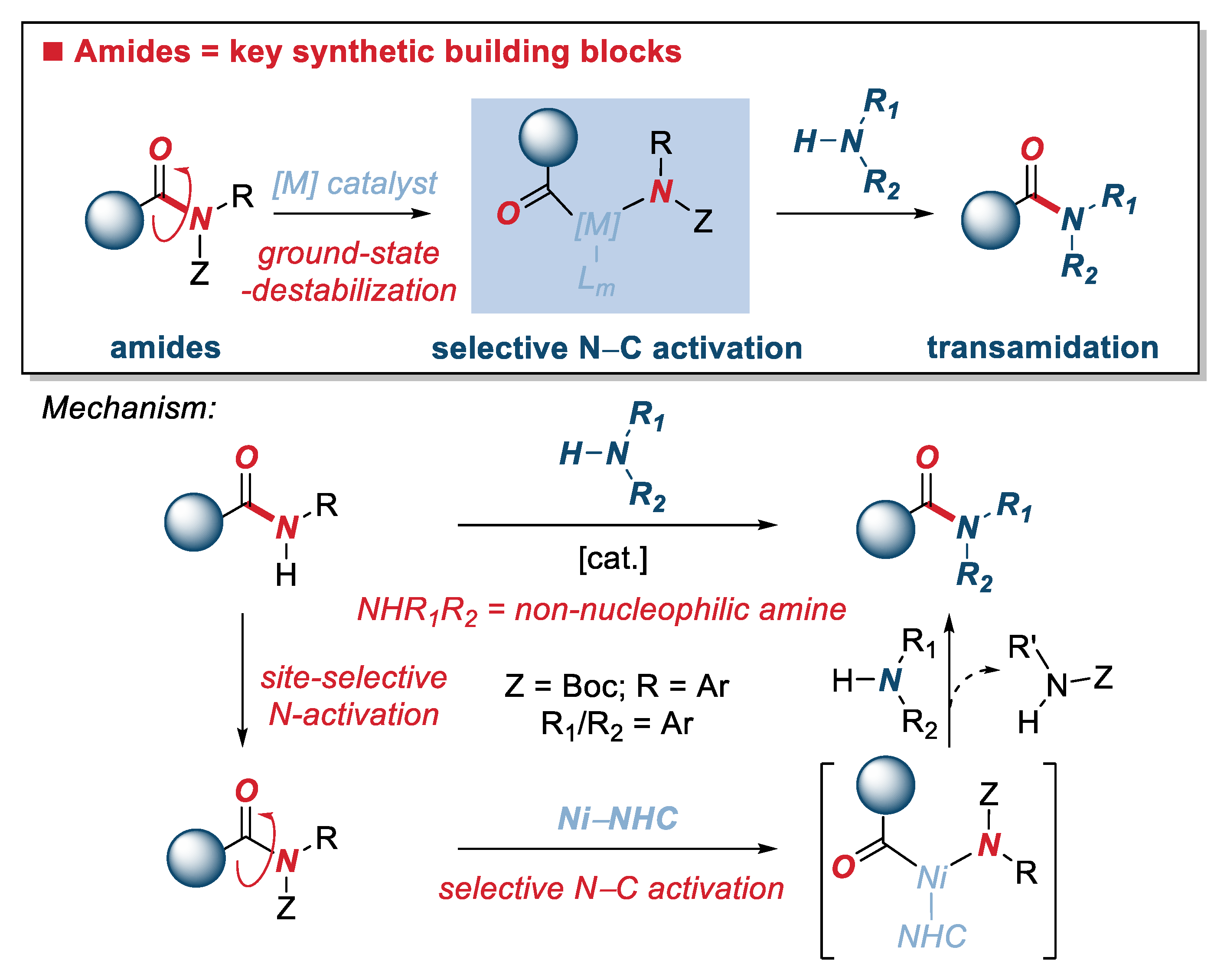 Molecules 26 00188 g001 Molecules 26 00188 g001