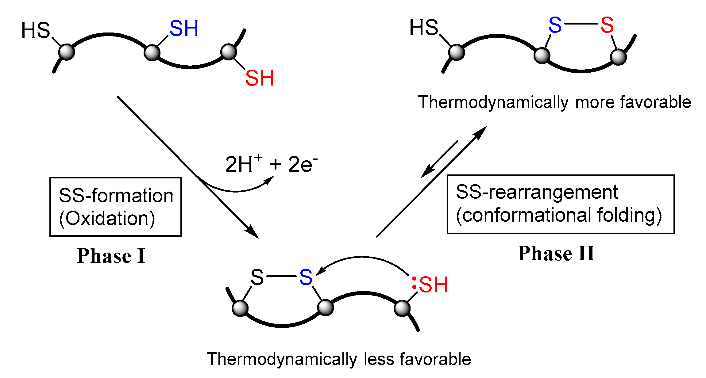 Molecules 26 00195 g002 Molecules 26 00195 g002