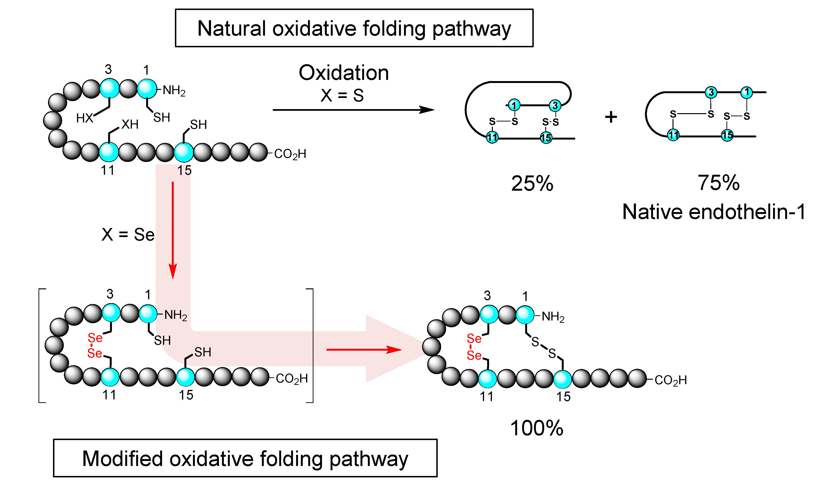 Molecules 26 00195 g003 Molecules 26 00195 g003