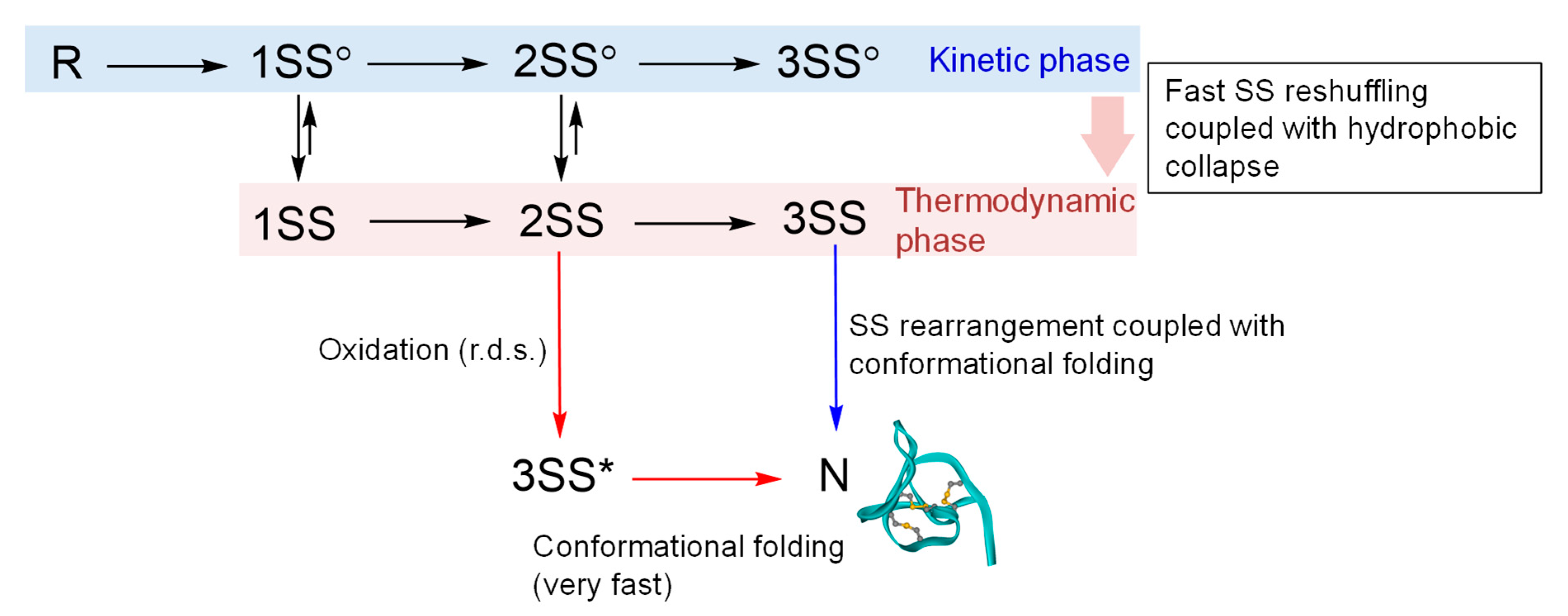 Molecules 26 00195 g006 Molecules 26 00195 g006