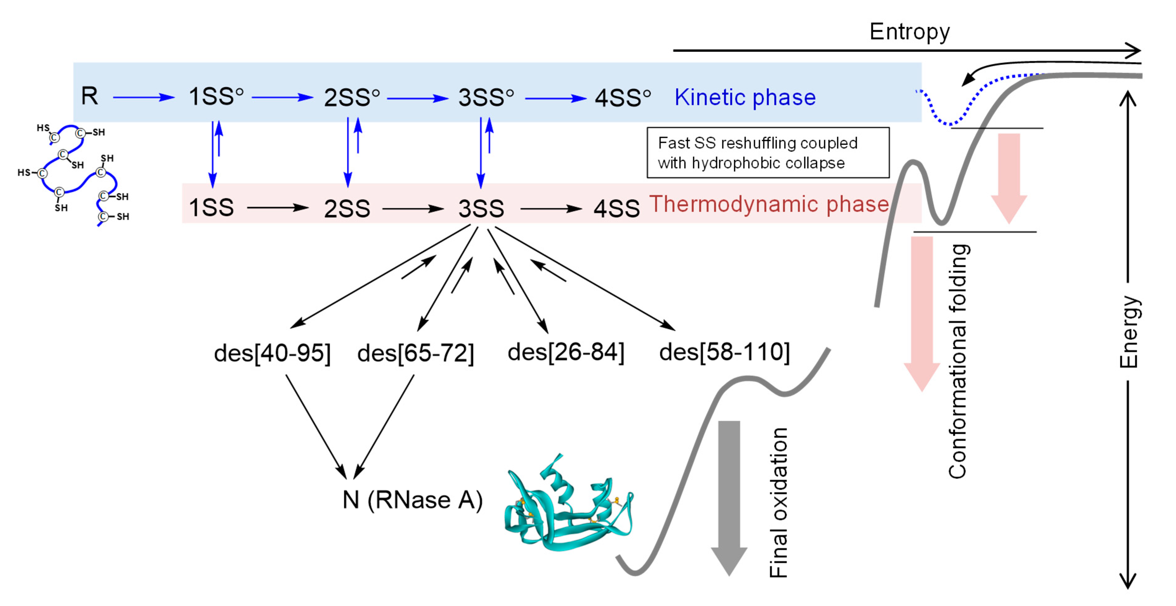 Molecules 26 00195 g007 Molecules 26 00195 g007
