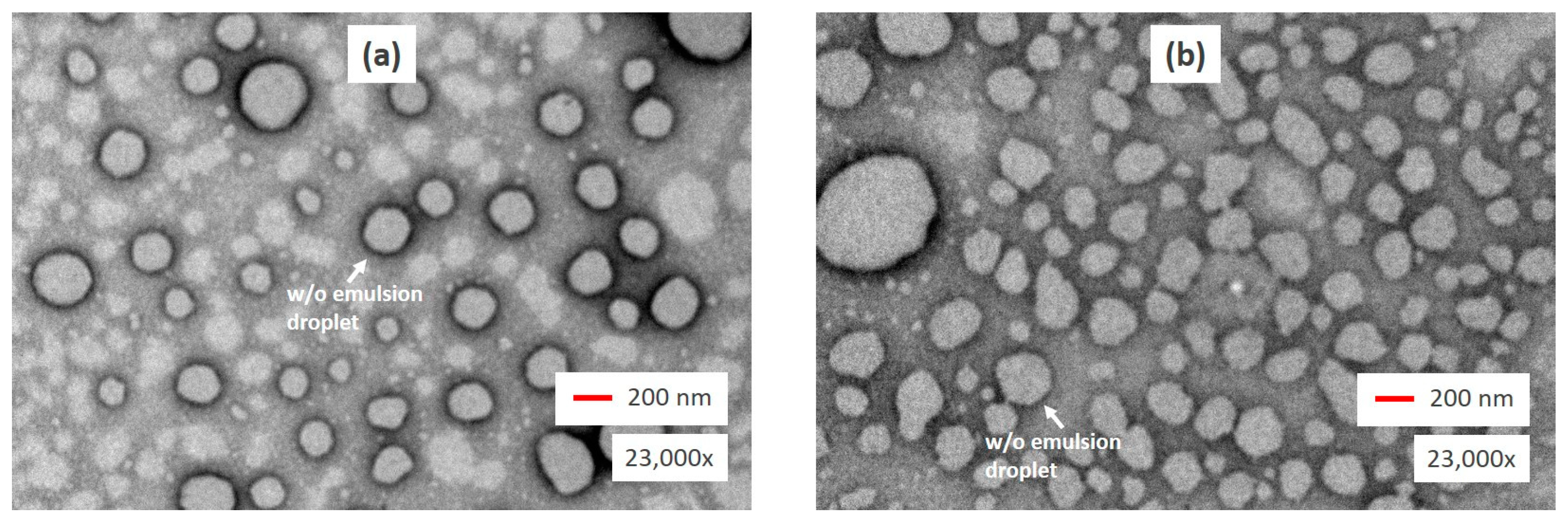 Molecules 26 00196 g003 Molecules 26 00196 g003