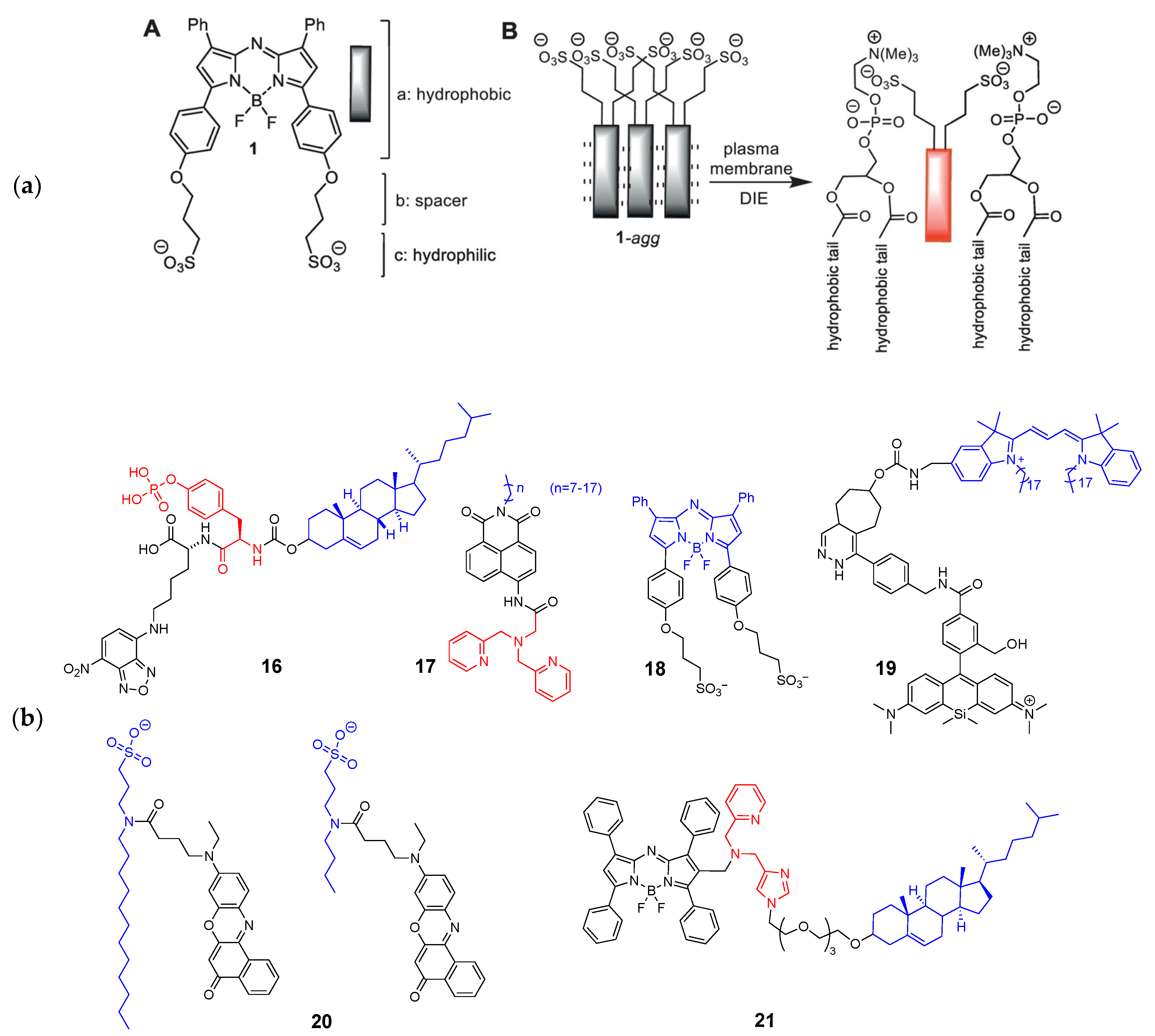 Molecules 26 00217 g004