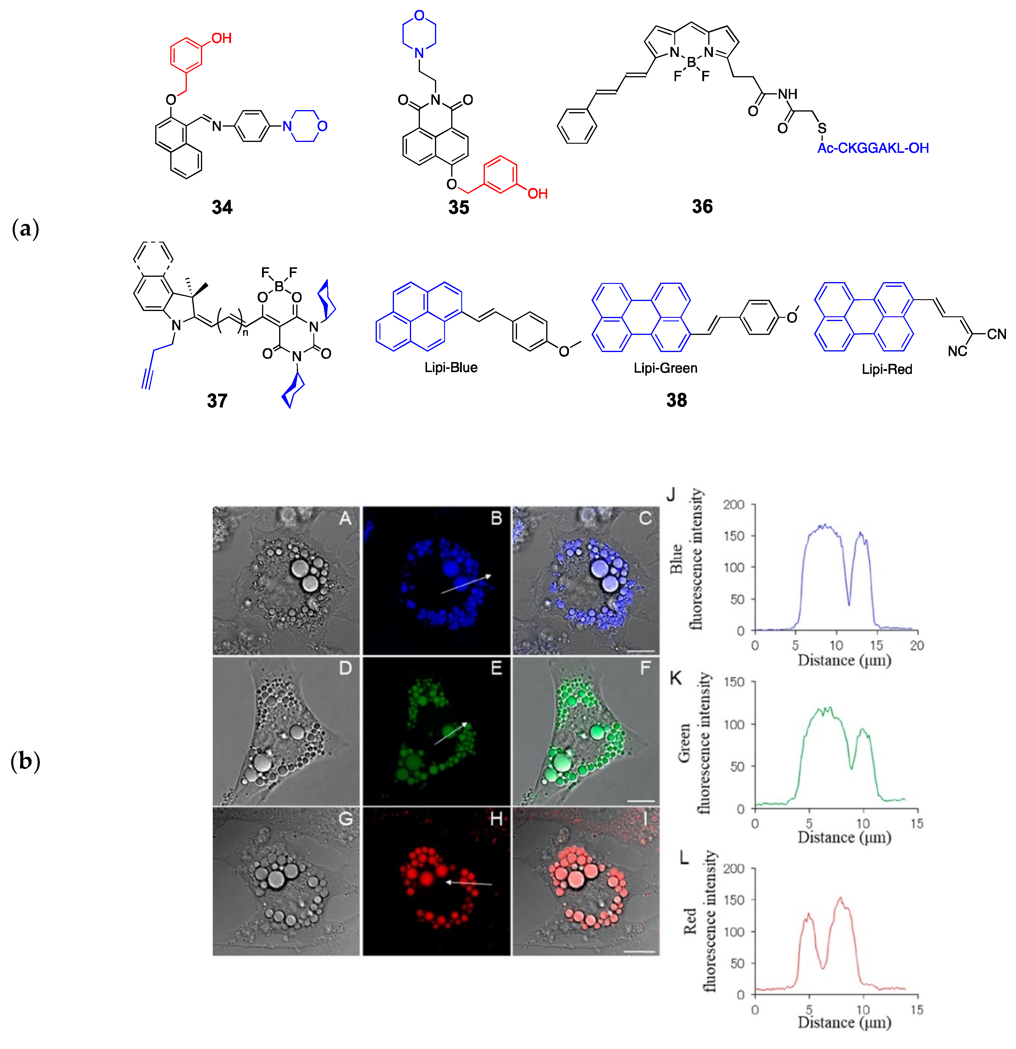 Molecules | Free Full-Text | Recent Advances In Organelle-Targeted ...