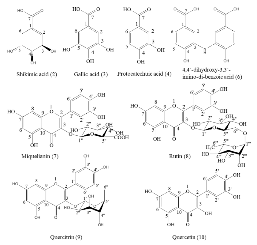 Molecules 26 00224 g006