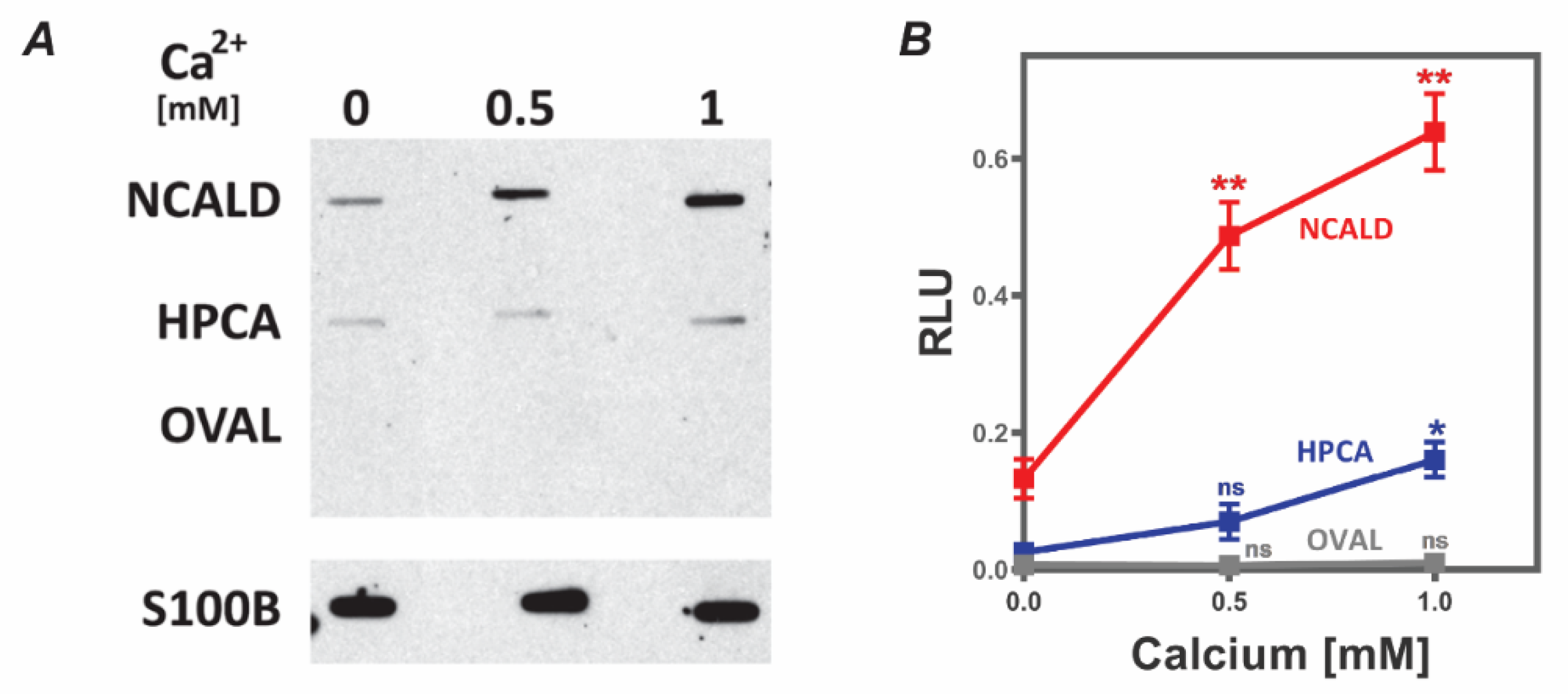 Molecules 26 00227 g001 Molecules 26 00227 g001