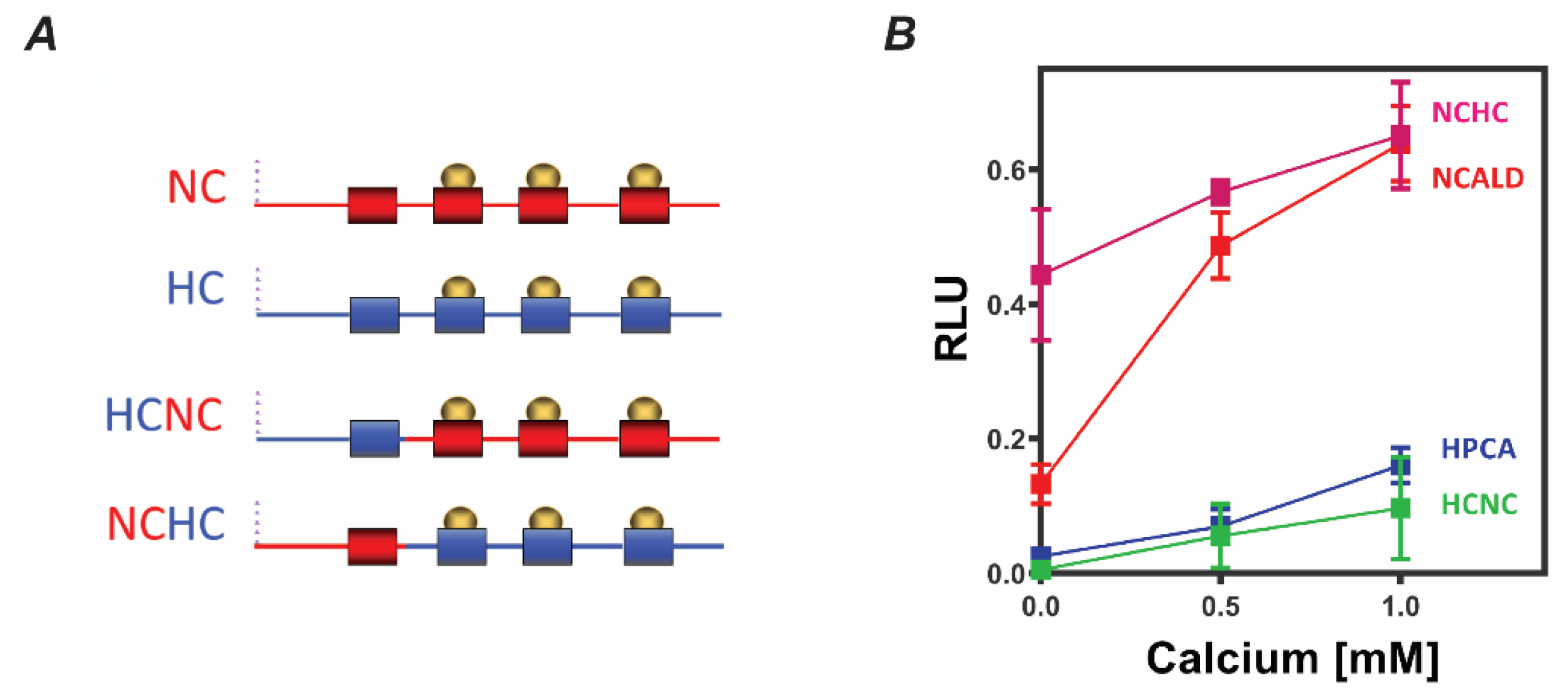 Molecules 26 00227 g002 Molecules 26 00227 g002