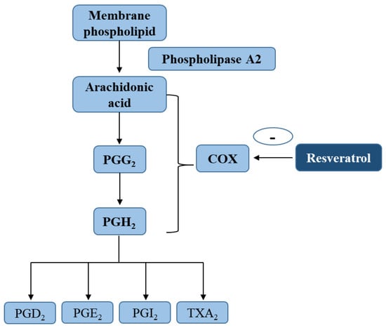 Molecules | Free Full-Text | Anti-Inflammatory Action and Mechanisms of  Resveratrol